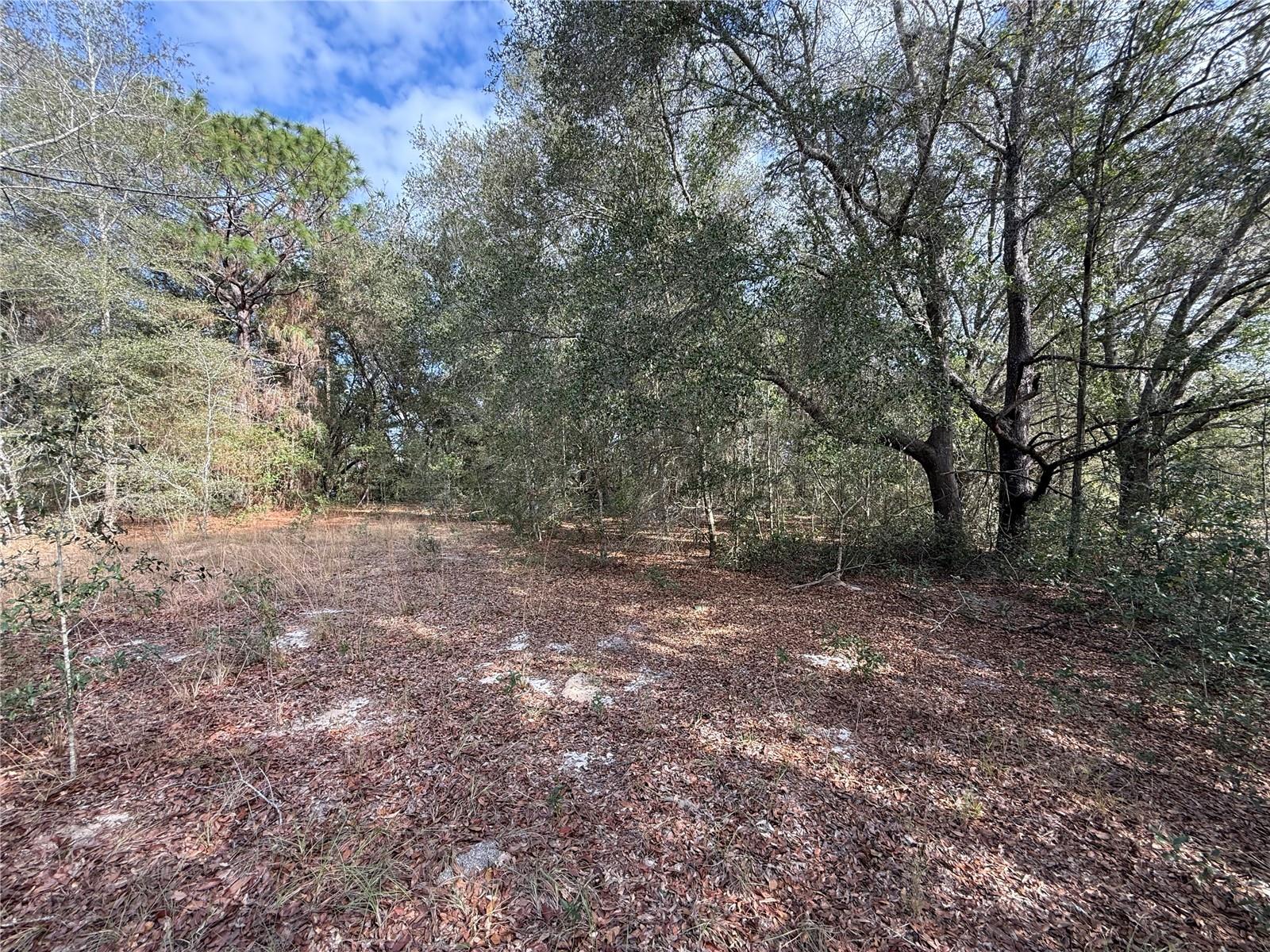 Image 7 of 17 For 92nd Court