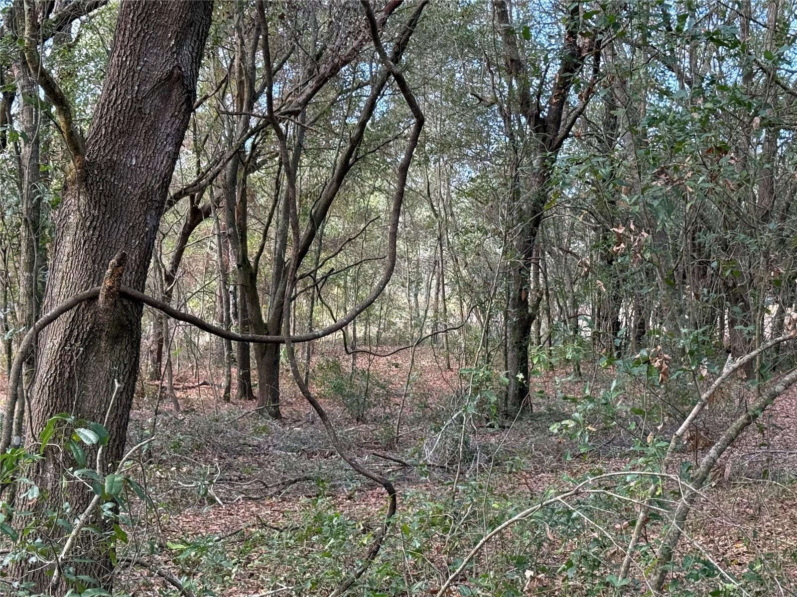 Image 8 of 17 For 92nd Court