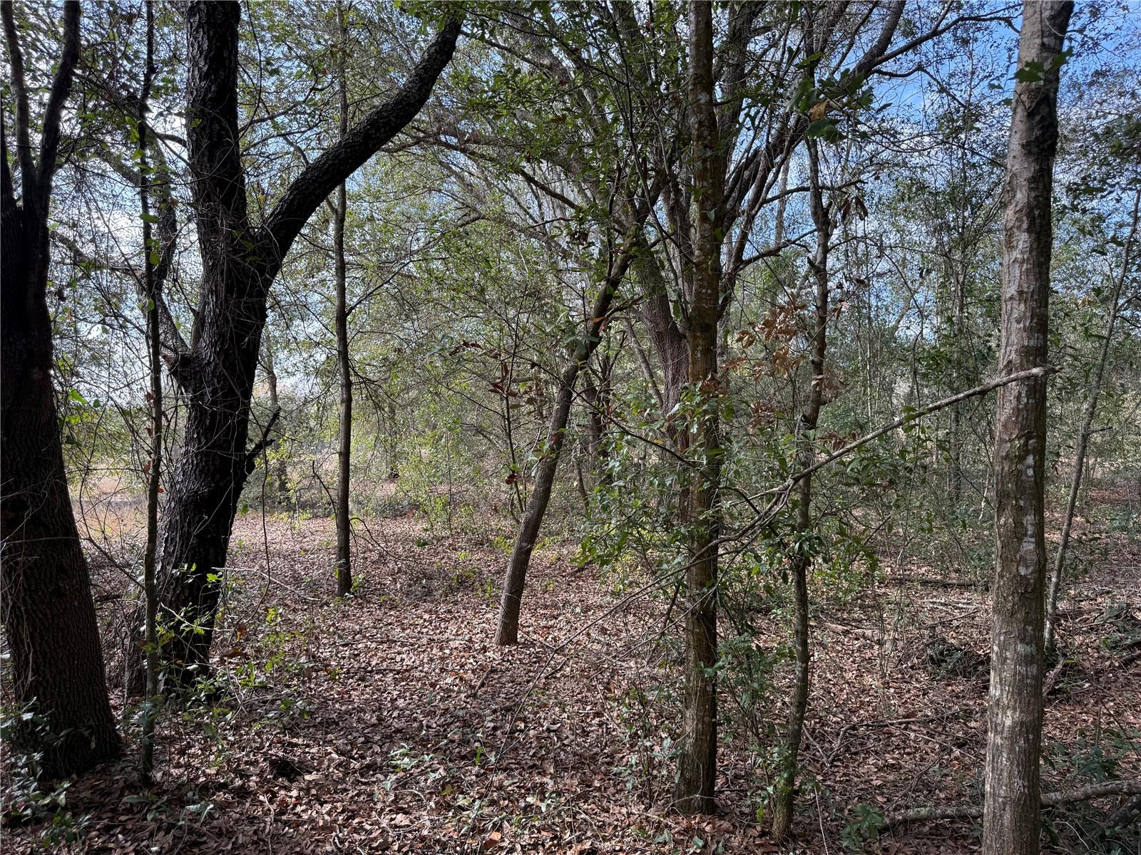 Image 9 of 17 For 92nd Court