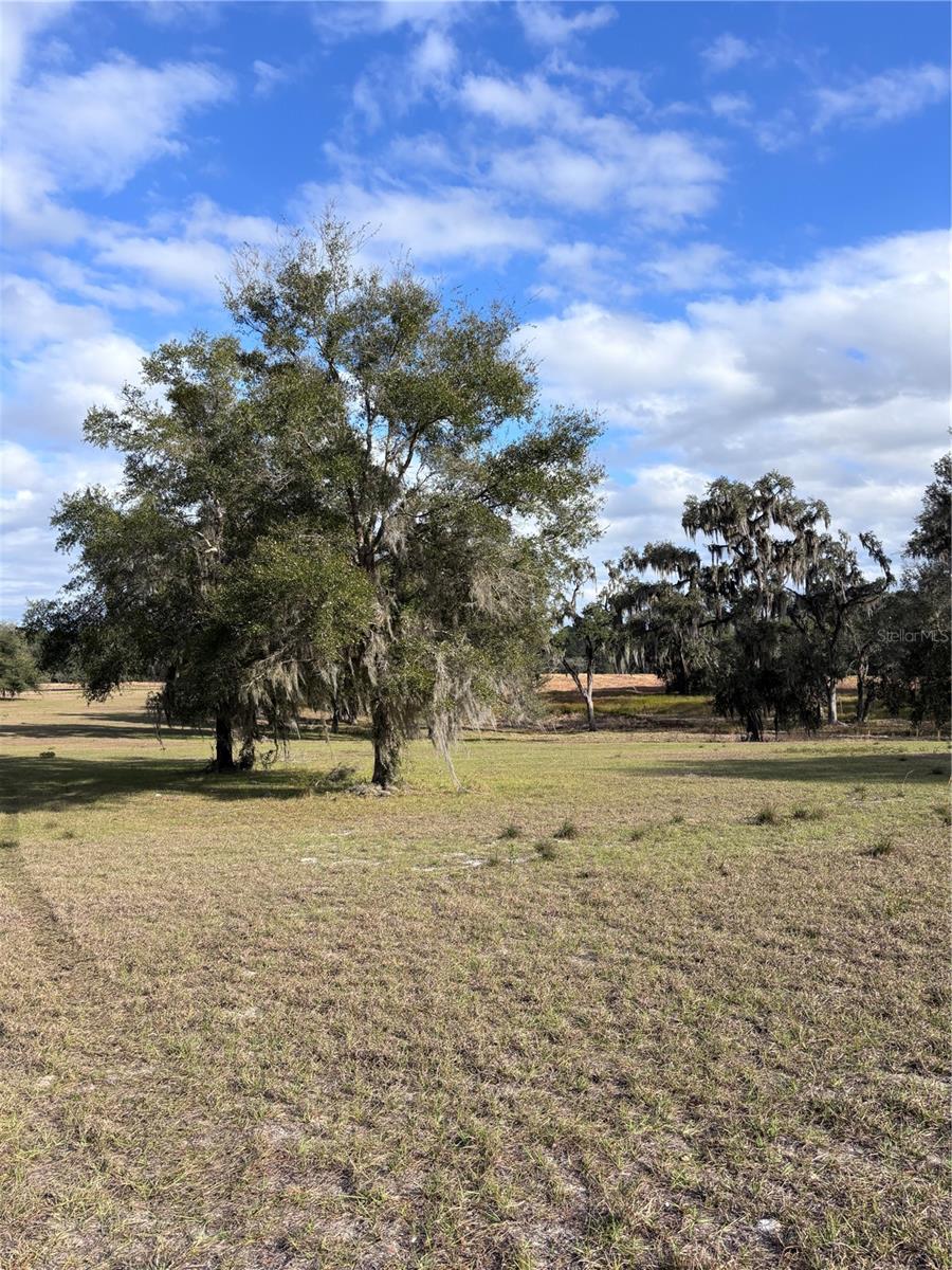 Details for Tbd 127 Court, OCALA, FL 34482