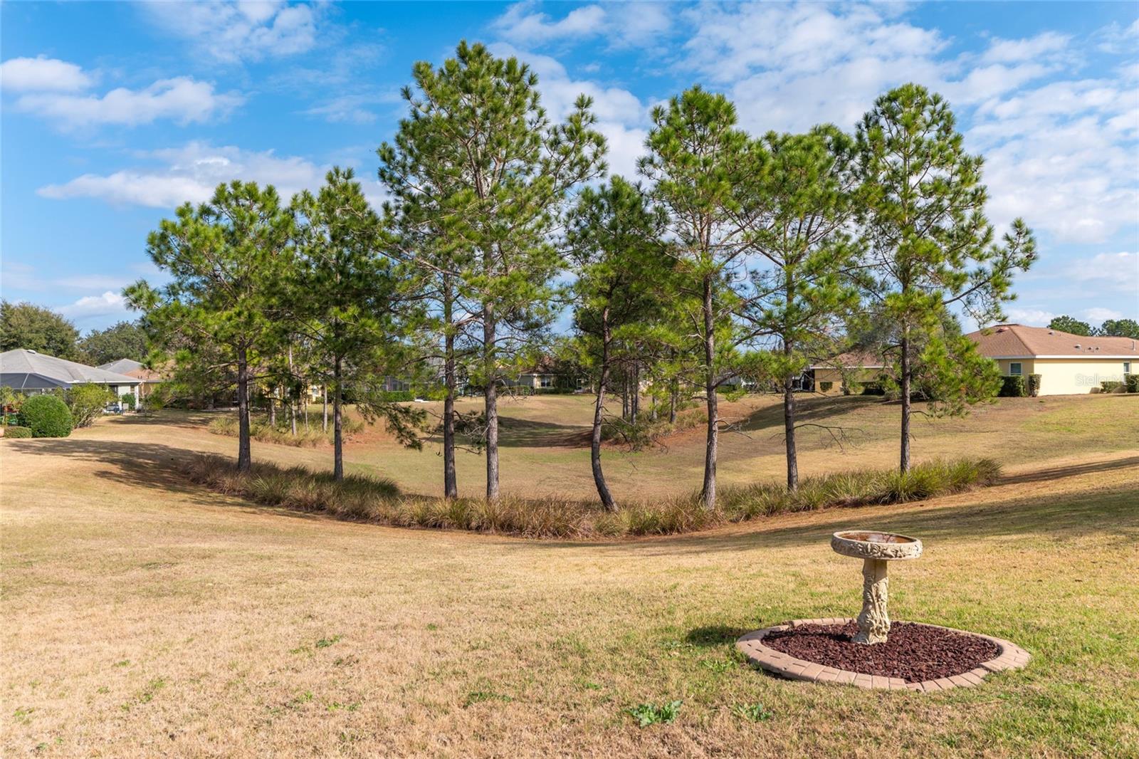 Image 49 of 49 For 9480 94th Loop