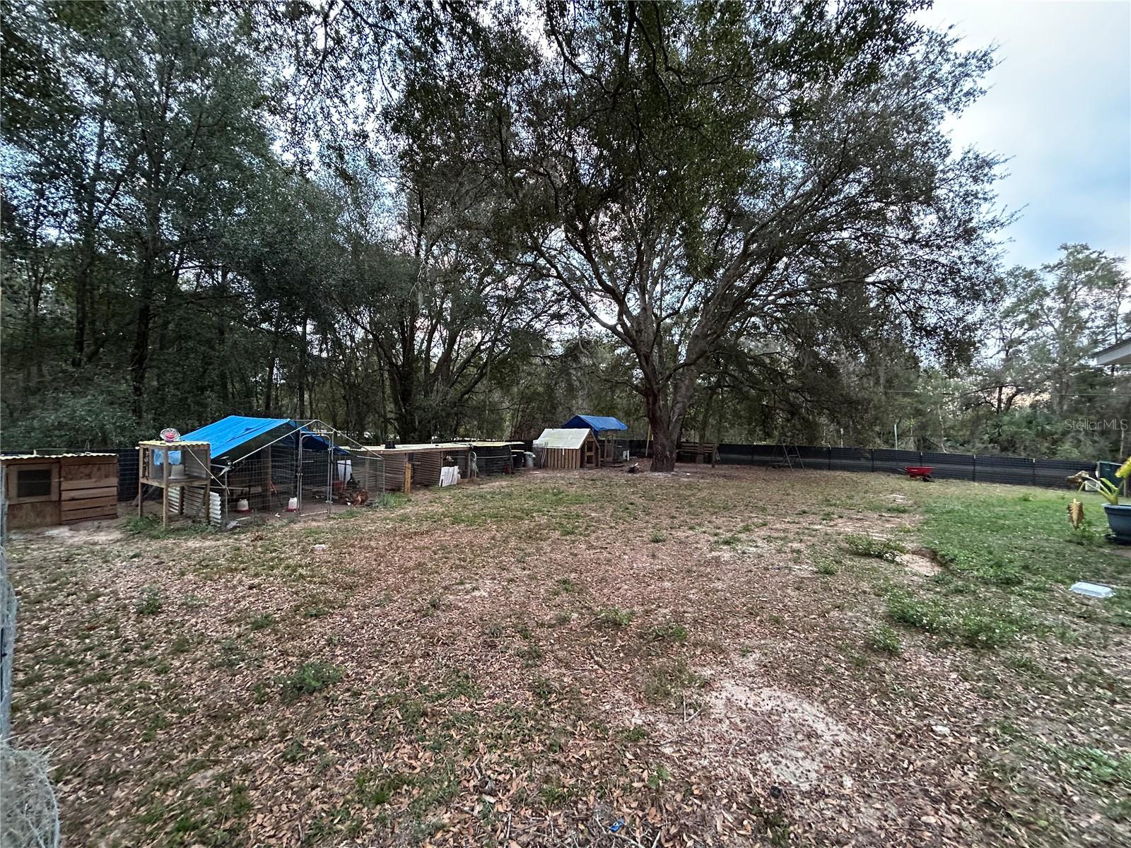 Image 12 of 17 For 10095 162nd Court