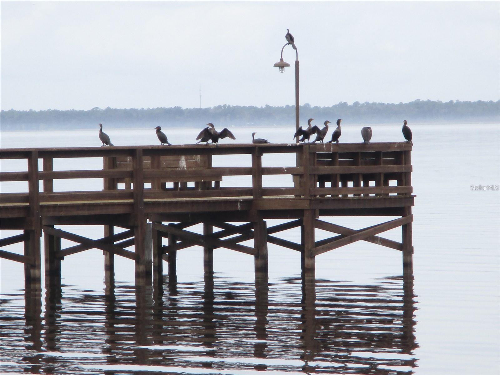 Image 15 of 20 For 618 Orchid Drive