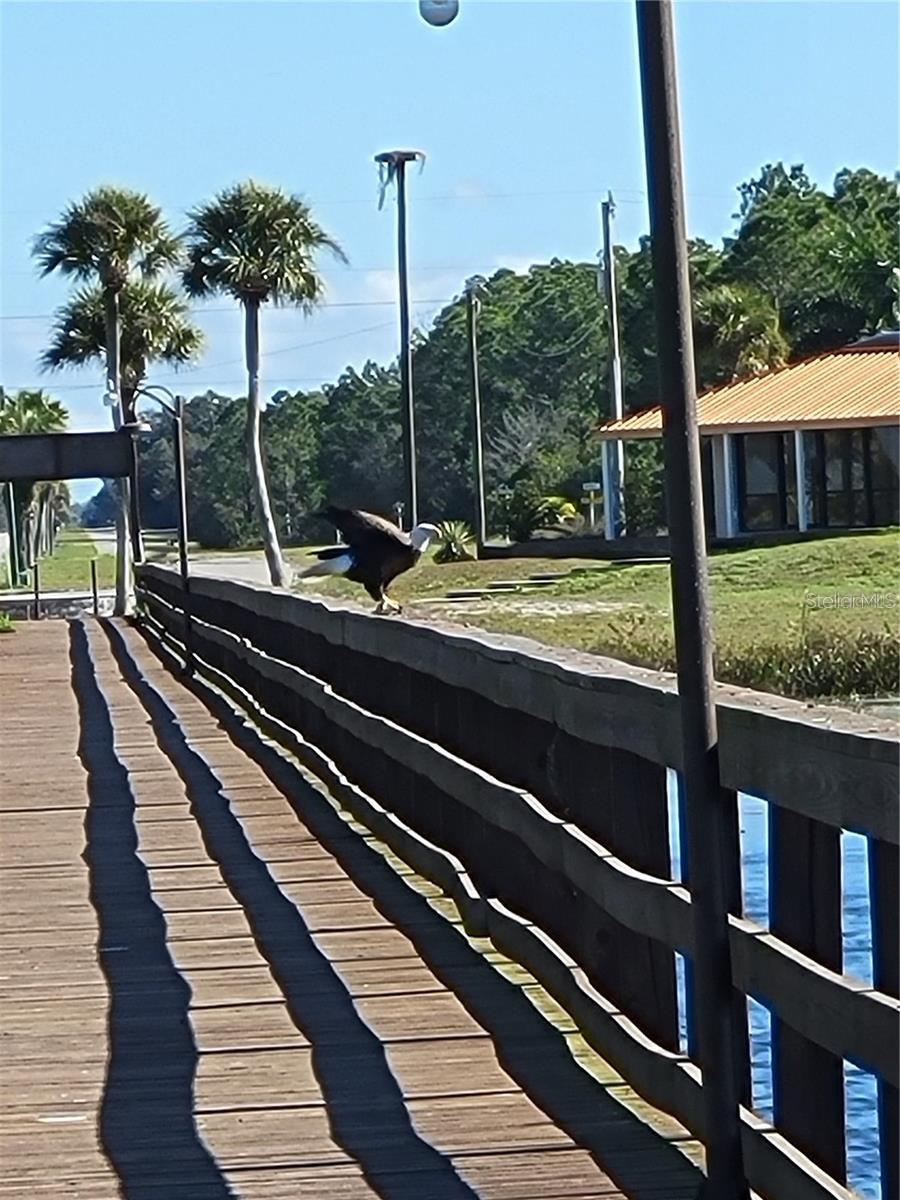 Image 20 of 20 For 618 Orchid Drive