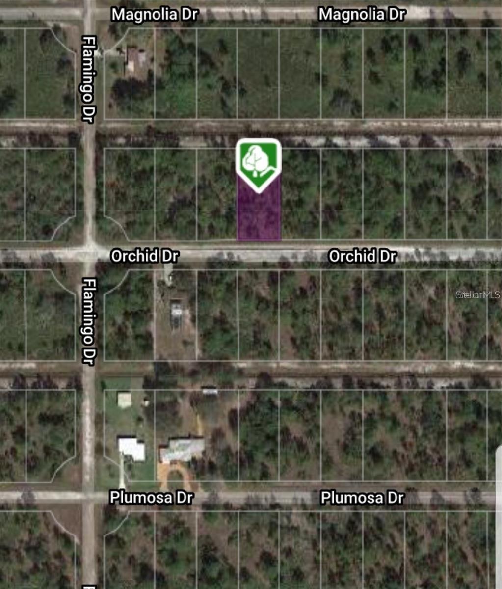 Image 4 of 20 For 618 Orchid Drive