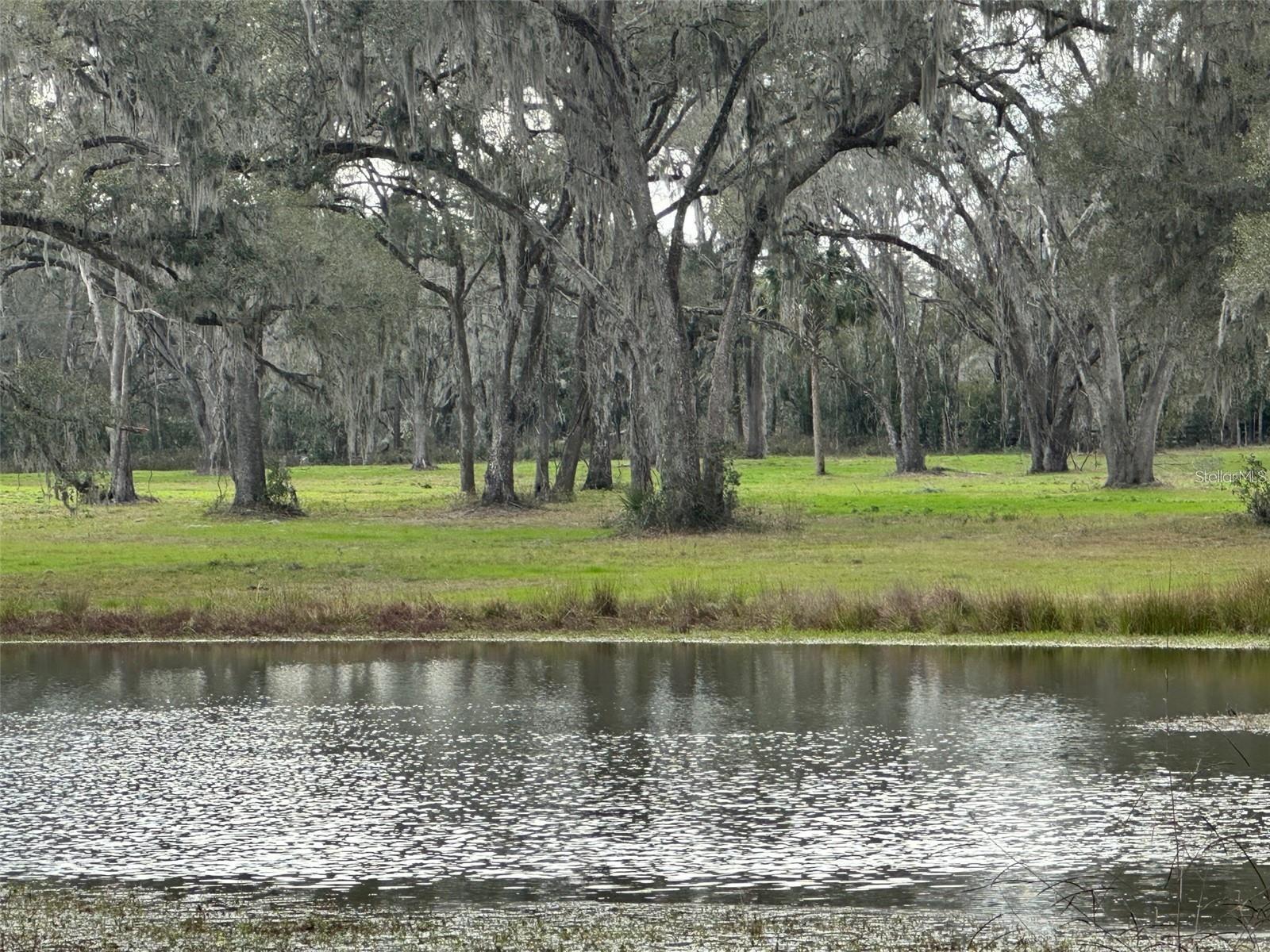 Details for Tbd Nw 160th Street, REDDICK, FL 32686