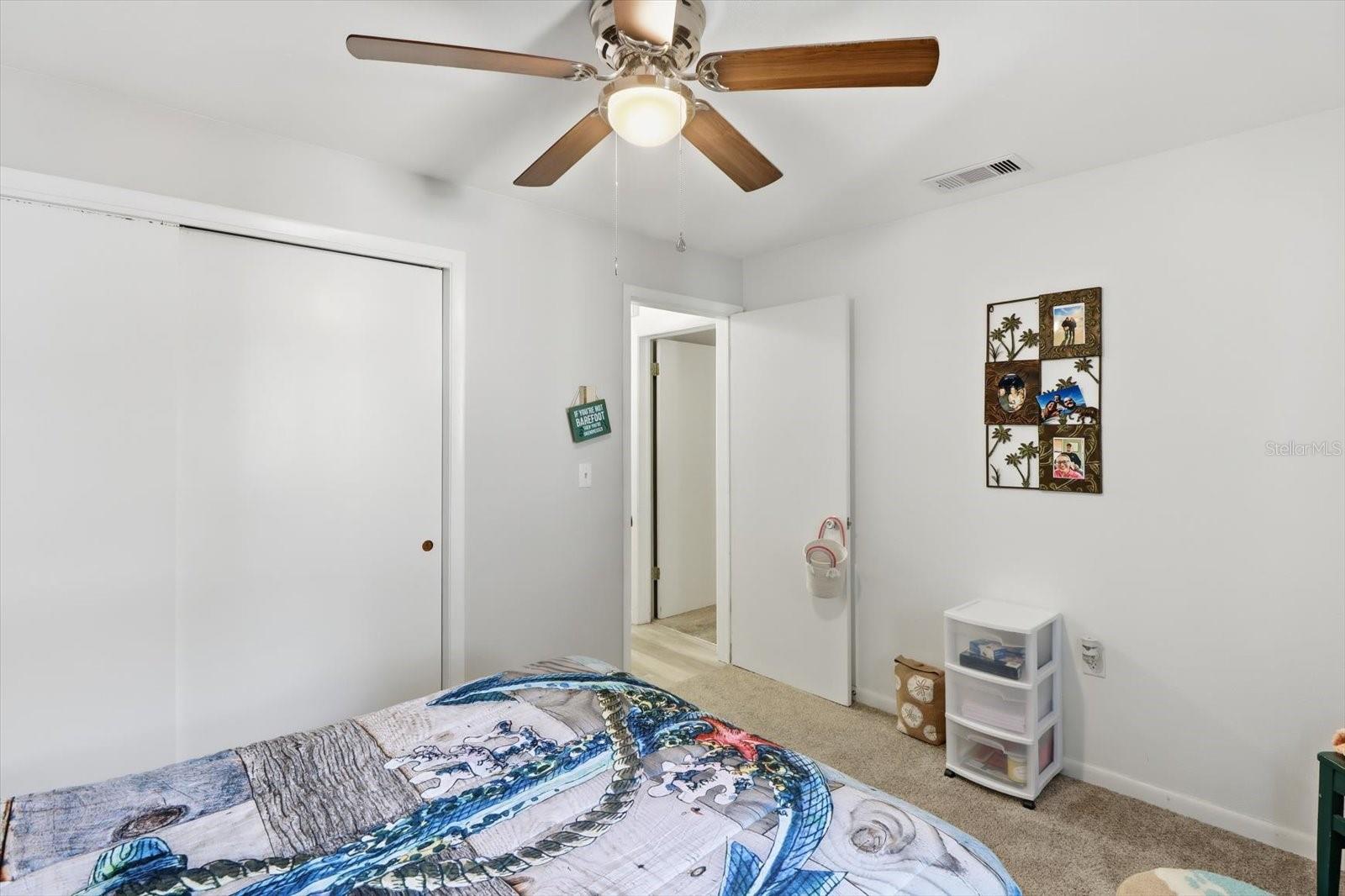 Image 16 of 35 For 47 Melbourne Street