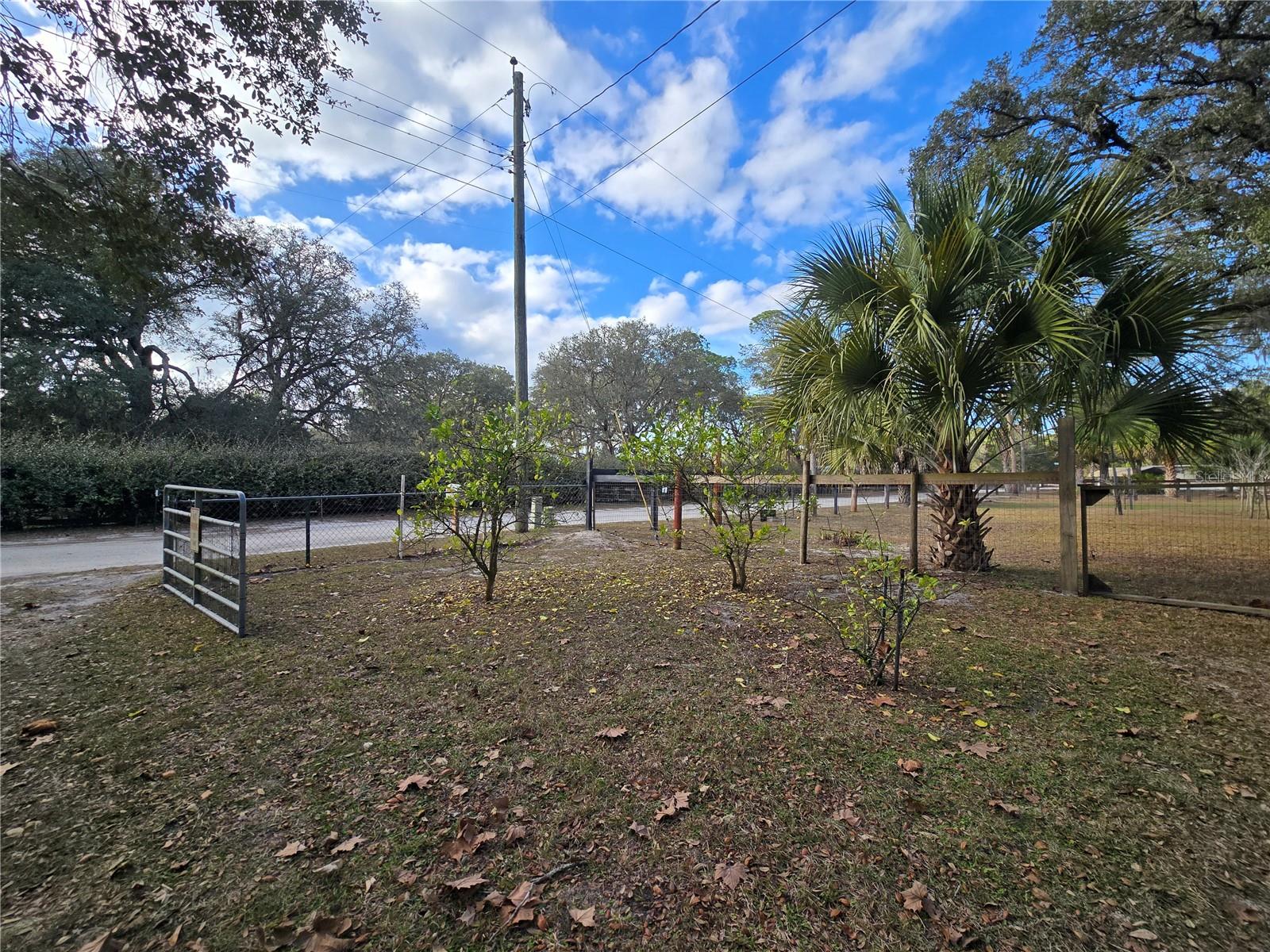 Image 36 of 45 For 1821 115th Avenue