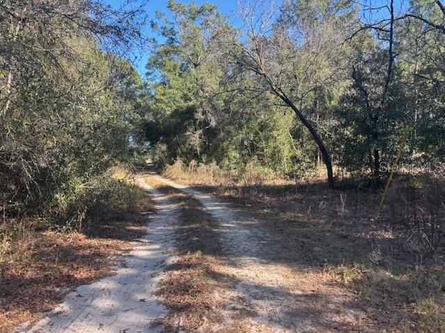 Image 2 of 2 For 0000 9th Place