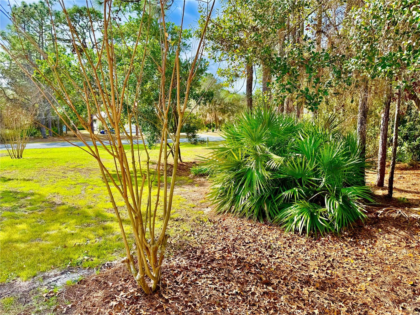 Image 4 of 60 For 5263 Yuma Lane