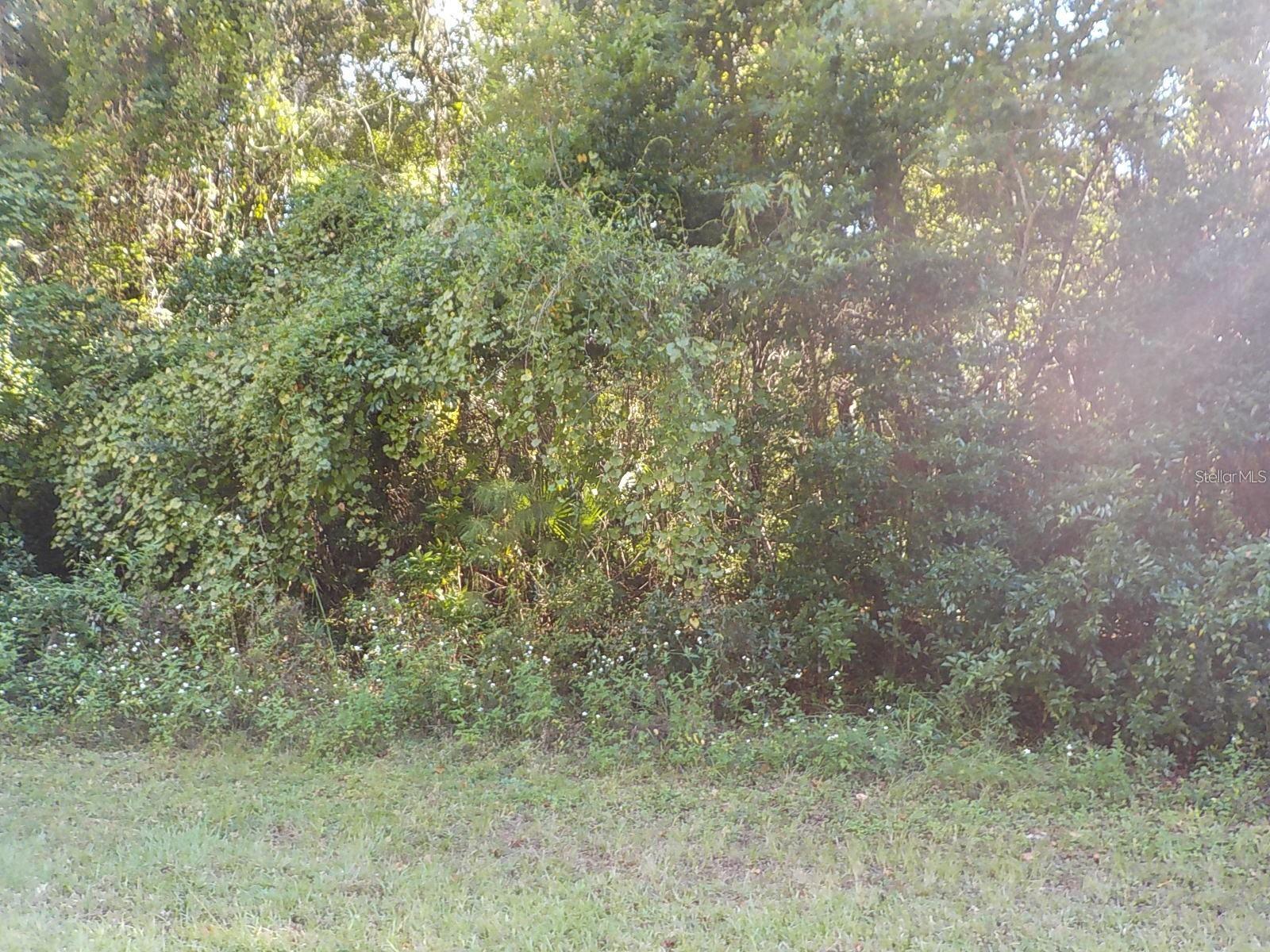 Details for 11641 Kenlake Circle, DUNNELLON, FL 34434