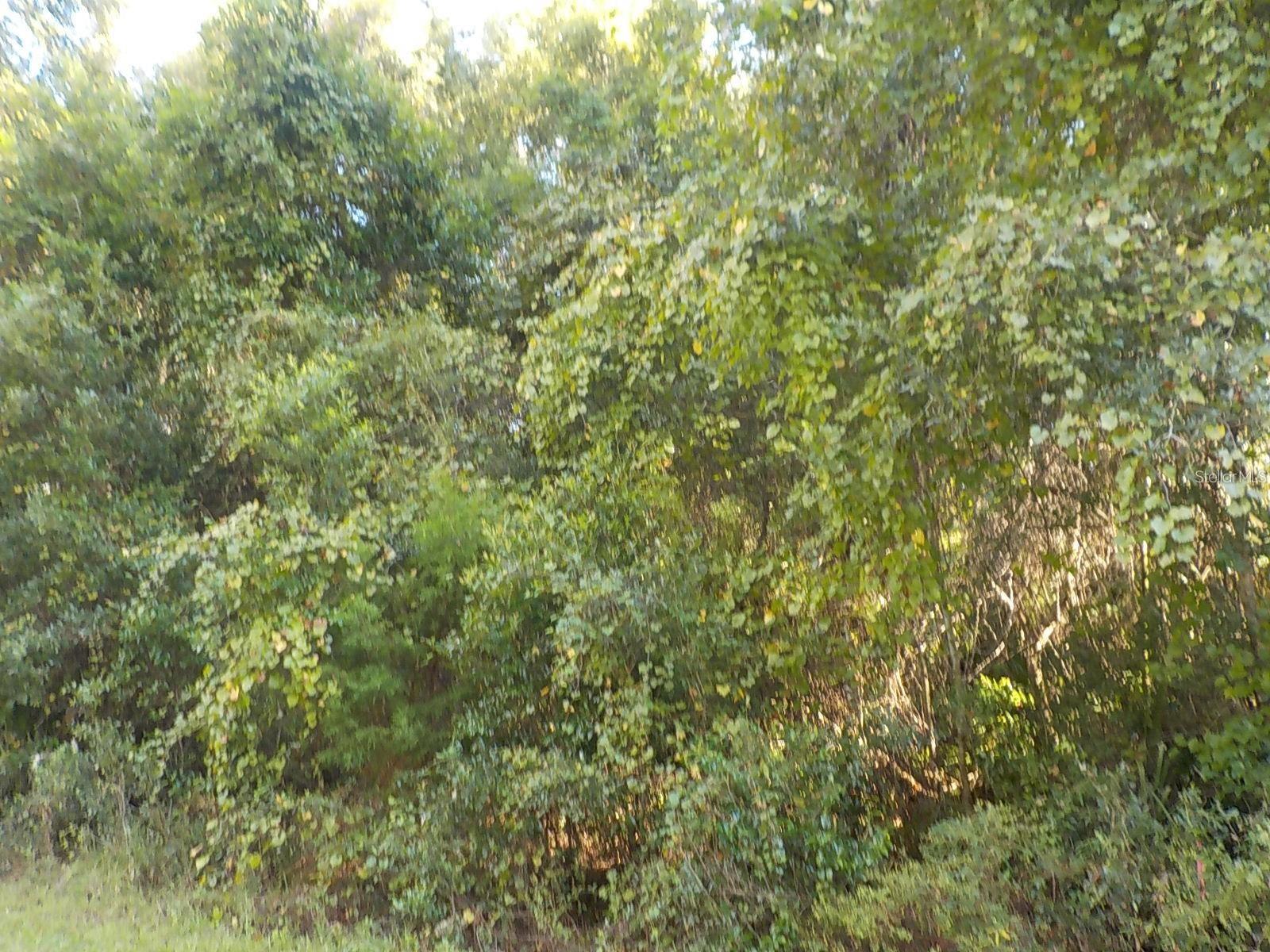 Image 4 of 5 For 11641 Kenlake Circle