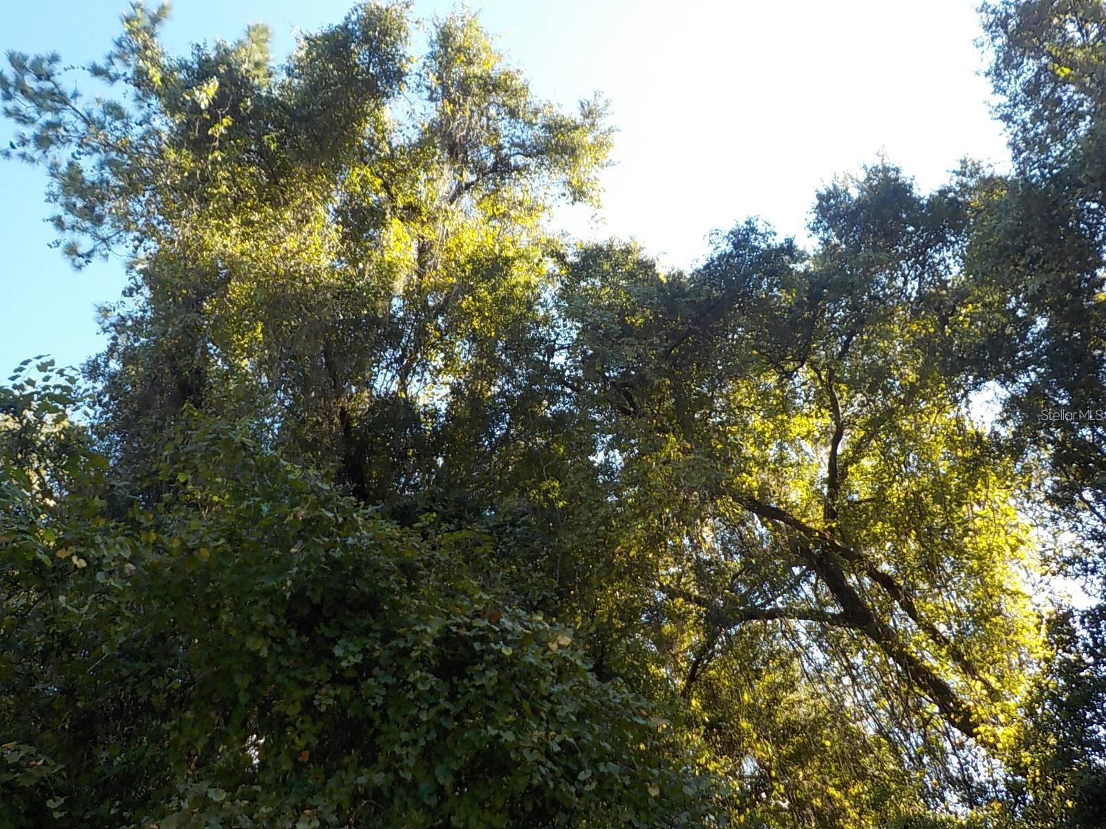 Image 5 of 5 For 11641 Kenlake Circle