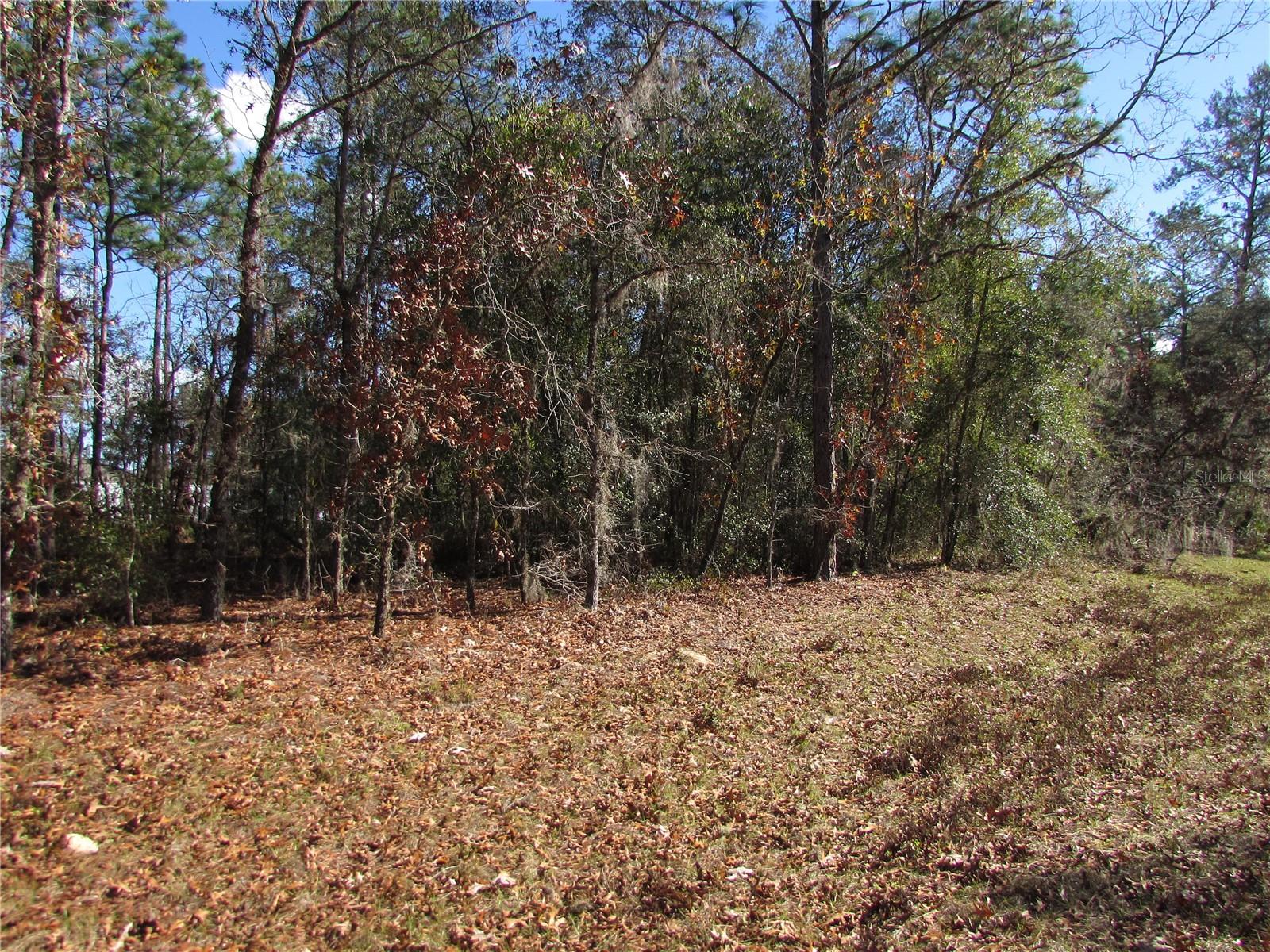 Image 4 of 11 For Lot 18 156 Street