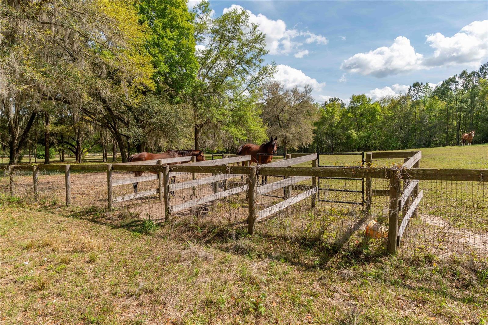 Image 21 of 39 For 6124 160th Street