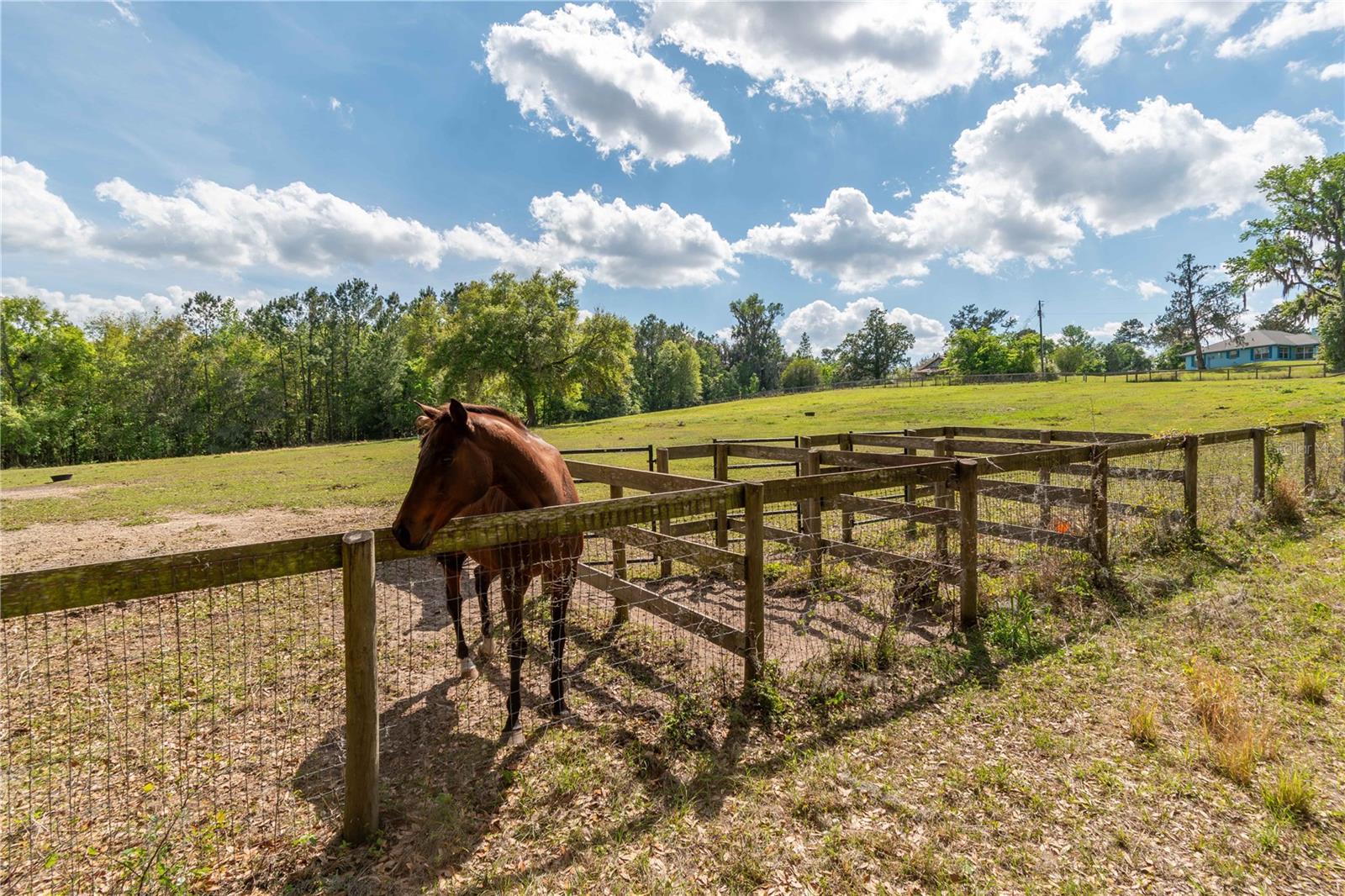 Image 22 of 39 For 6124 160th Street