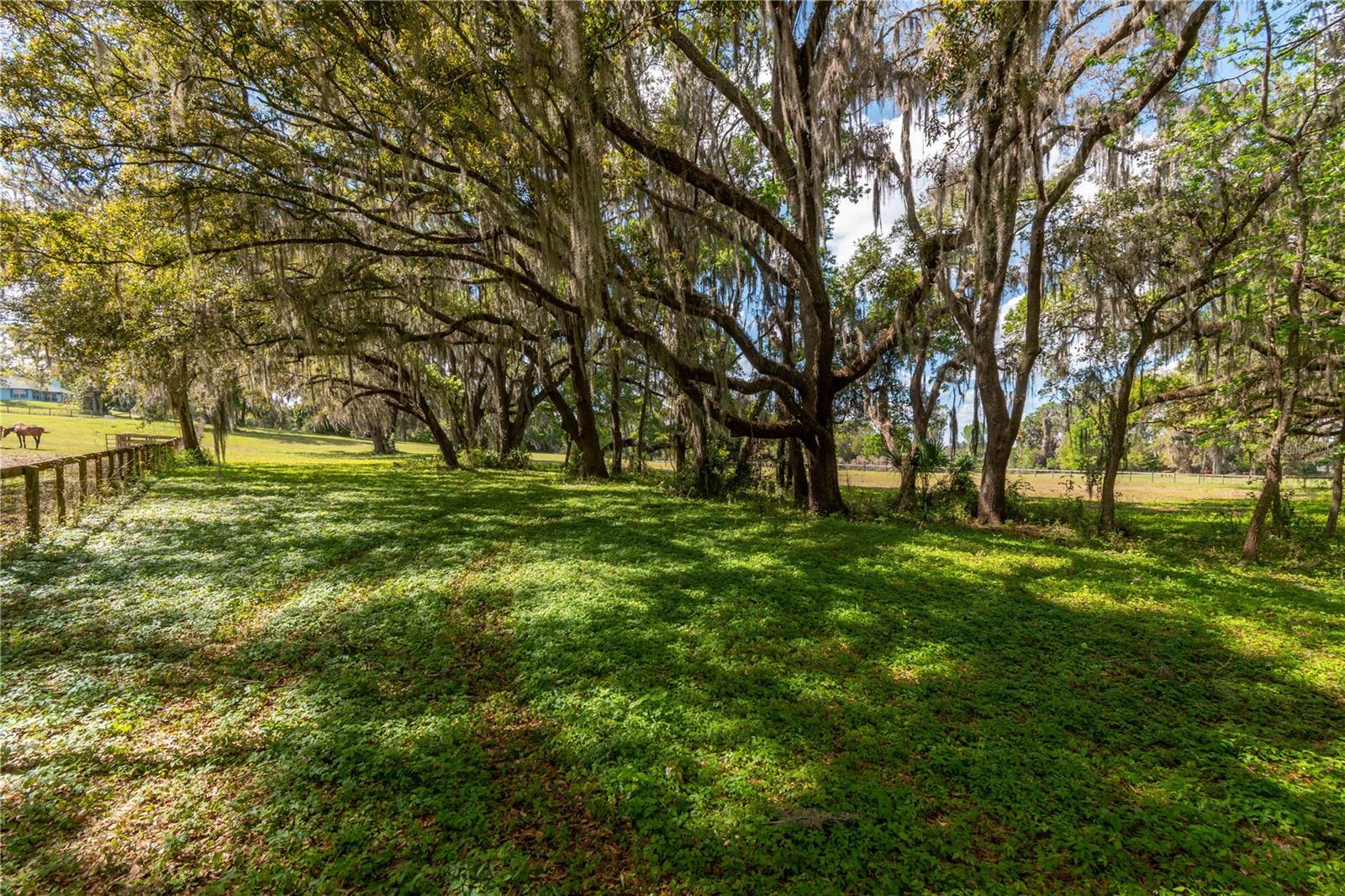 Image 30 of 39 For 6124 160th Street