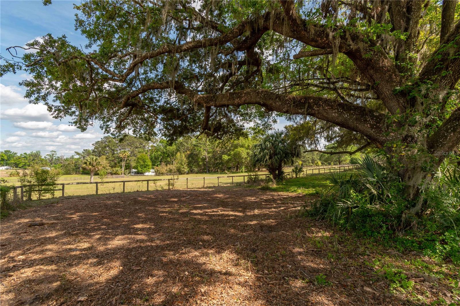 Image 34 of 39 For 6124 160th Street