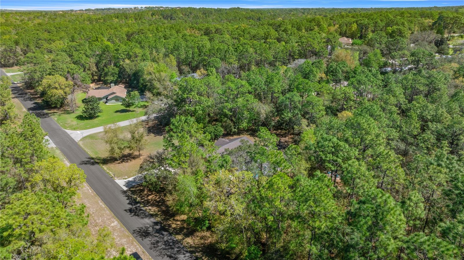 Image 35 of 38 For 221 Nashville Avenue