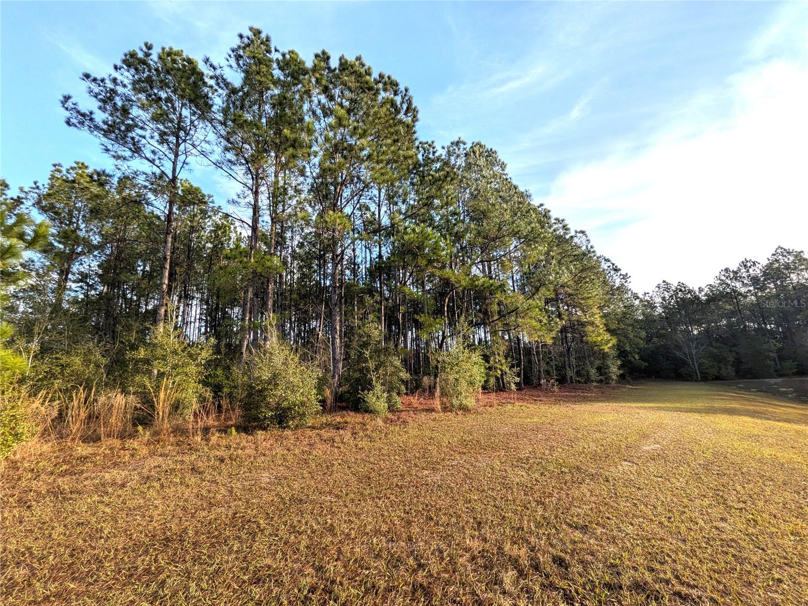 Image 4 of 5 For 143 Kensington Avenue