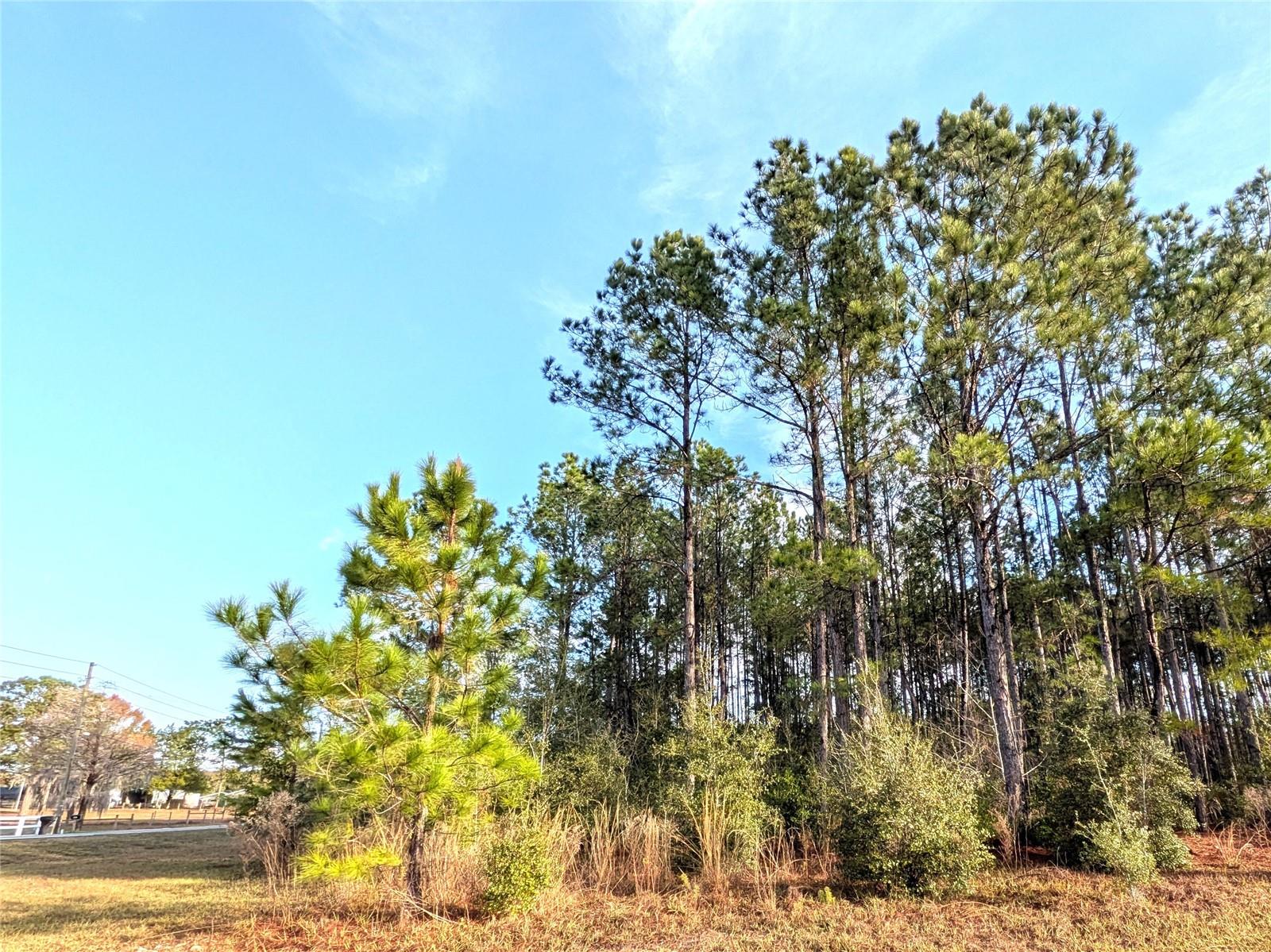 Image 5 of 5 For 143 Kensington Avenue