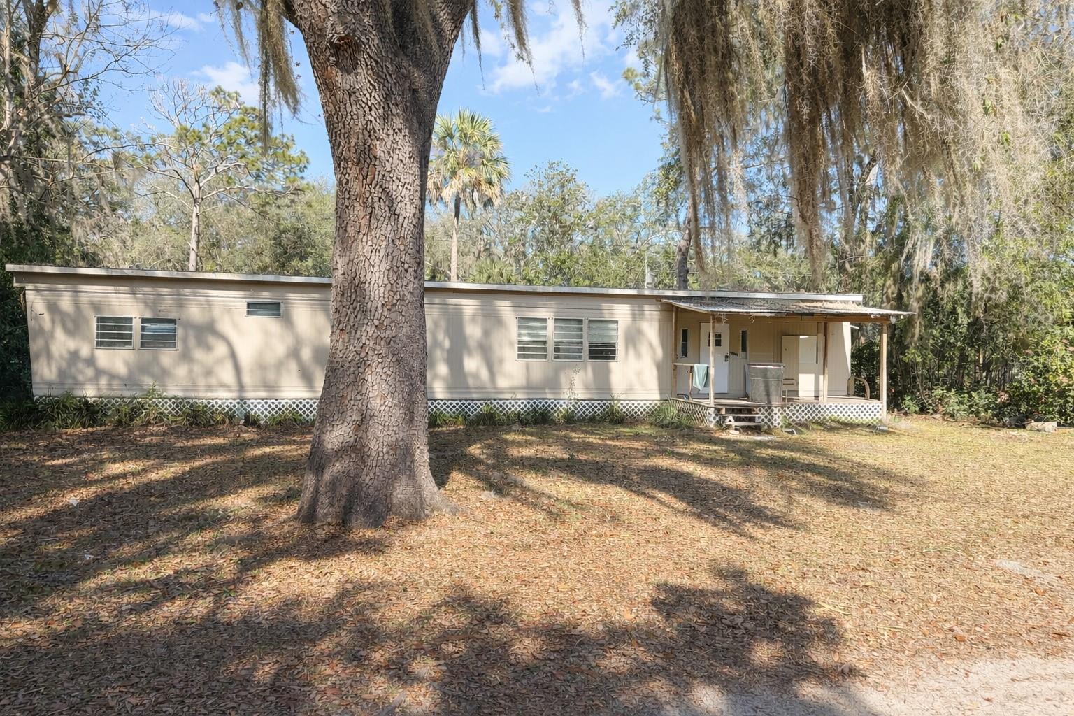 Details for 25215 133rd Street, SALT SPRINGS, FL 32134