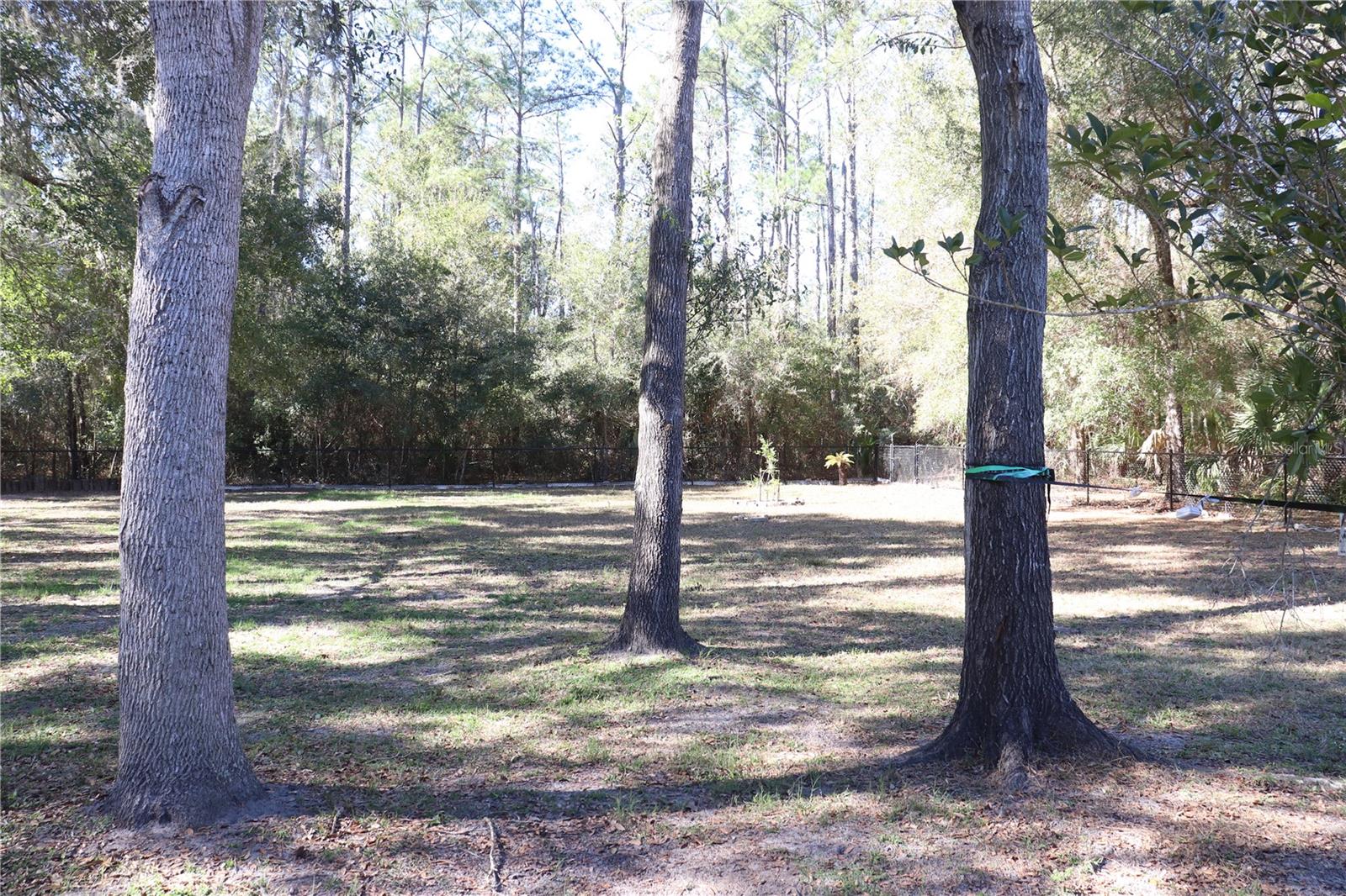 Image 10 of 22 For 11778 230th Avenue Road