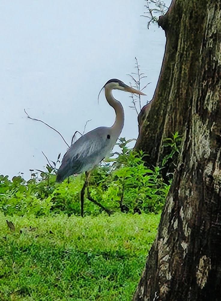 Image 32 of 40 For 7961 Riverbend Road