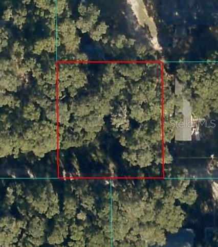 Details for 00 160th Lane, CITRA, FL 32113