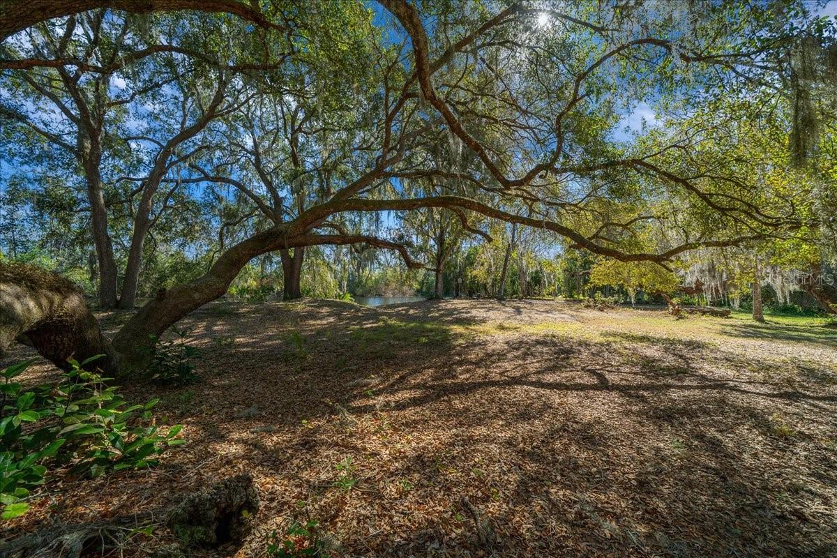 Image 39 of 52 For 16731 181st Terrace