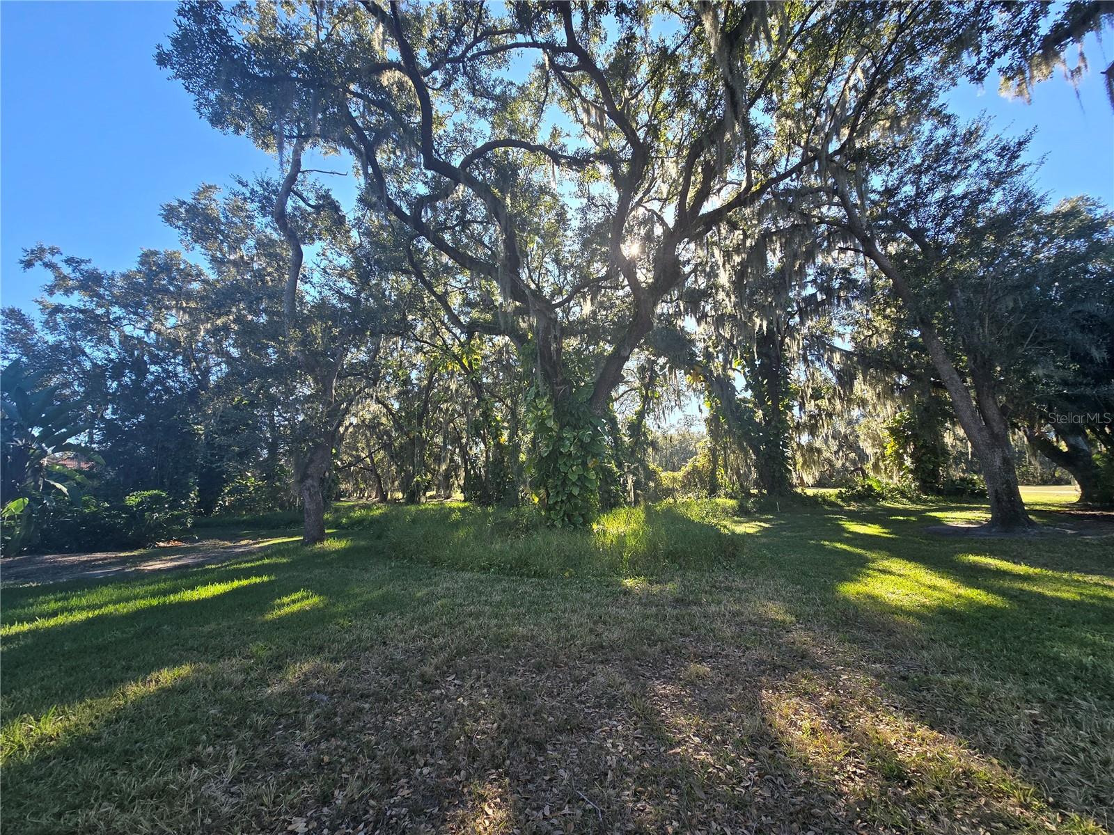 Image 10 of 27 For Red Bay Court