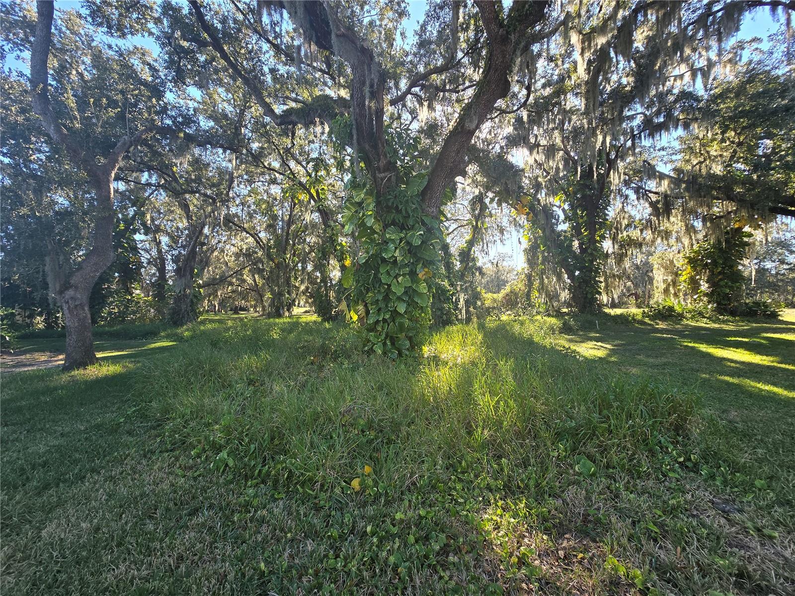 Image 14 of 27 For Red Bay Court