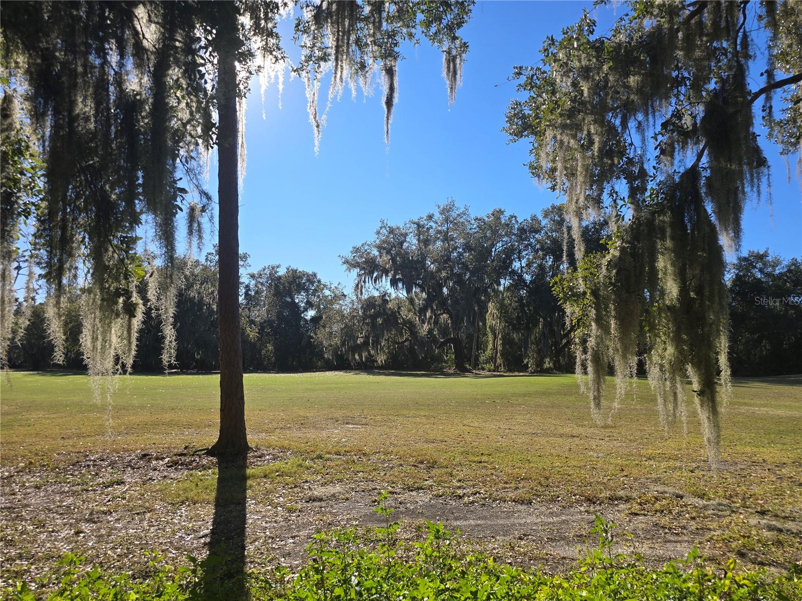 Image 16 of 27 For Red Bay Court