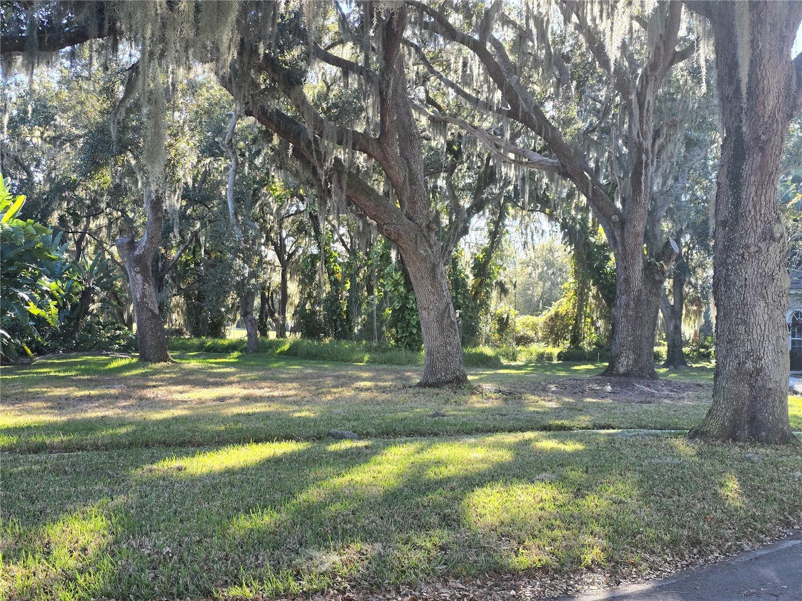 Image 6 of 27 For Red Bay Court