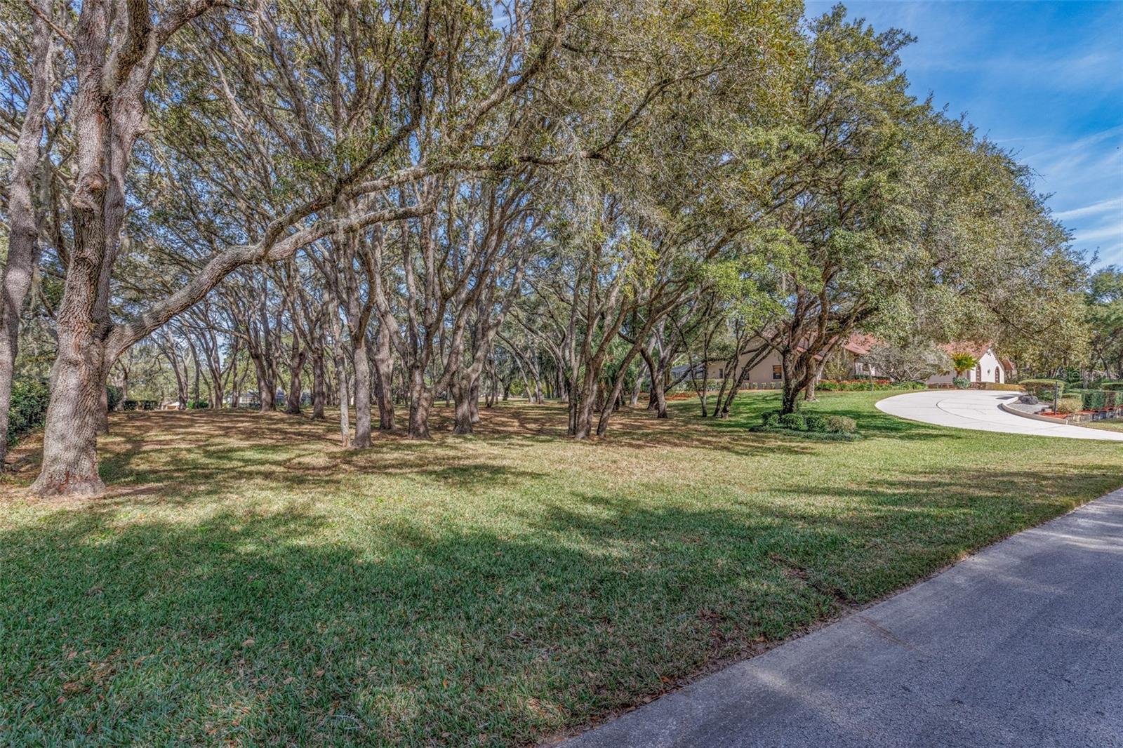 Image 4 of 55 For 115 Ireland Court