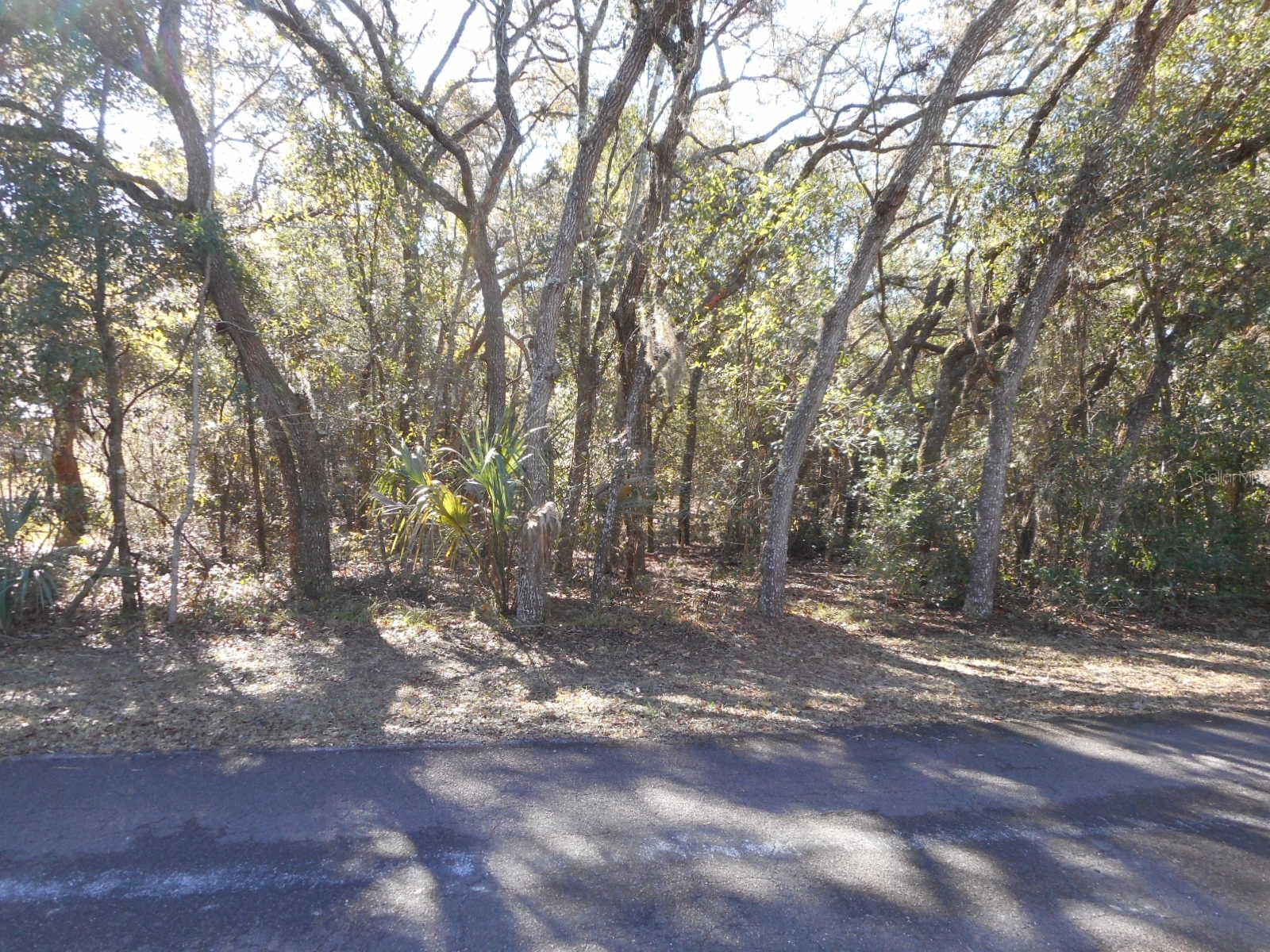 Details for 609 Brighton Road, LECANTO, FL 34461