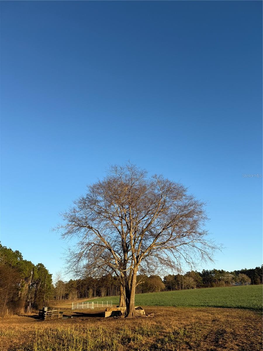 Image 2 of 4 For St Rd 121