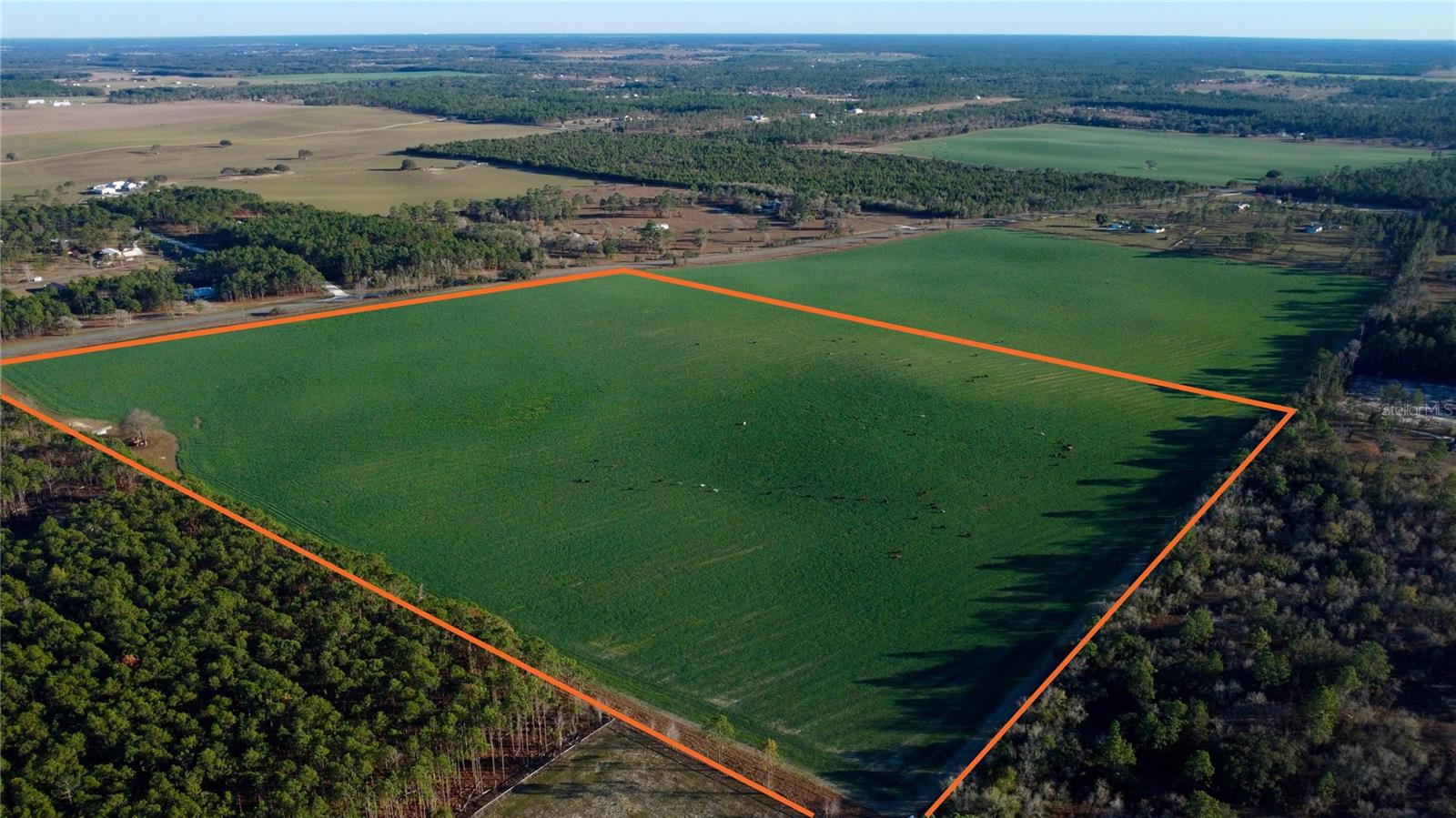 Image 4 of 4 For St Rd 121