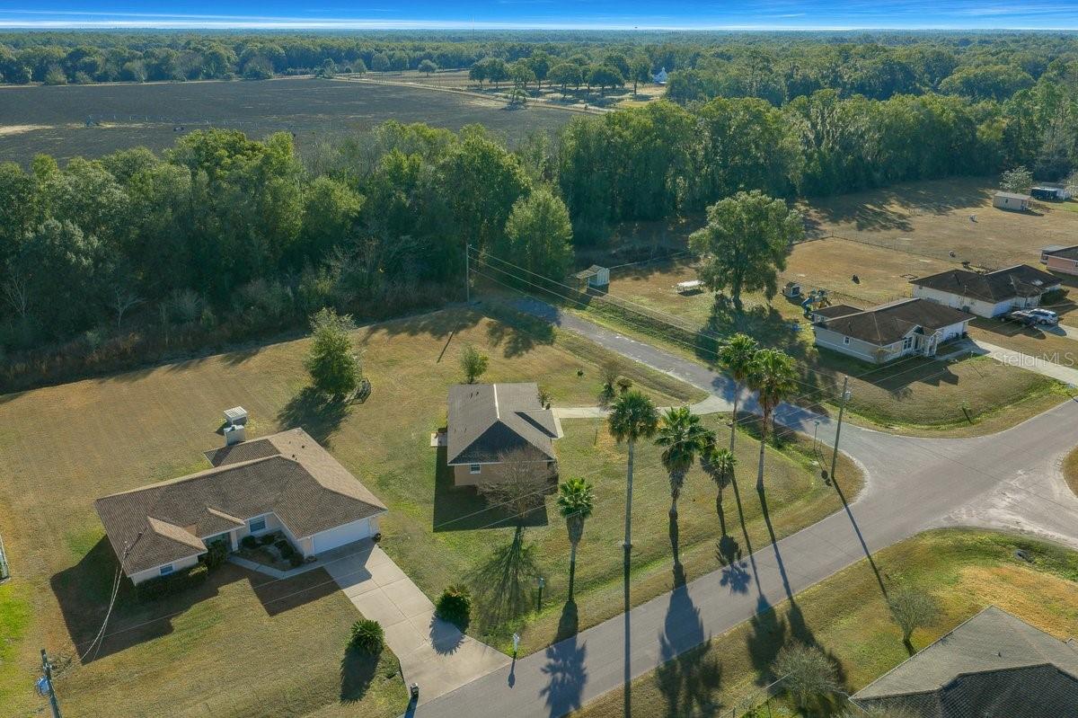 Image 45 of 50 For 2851 64 Lane