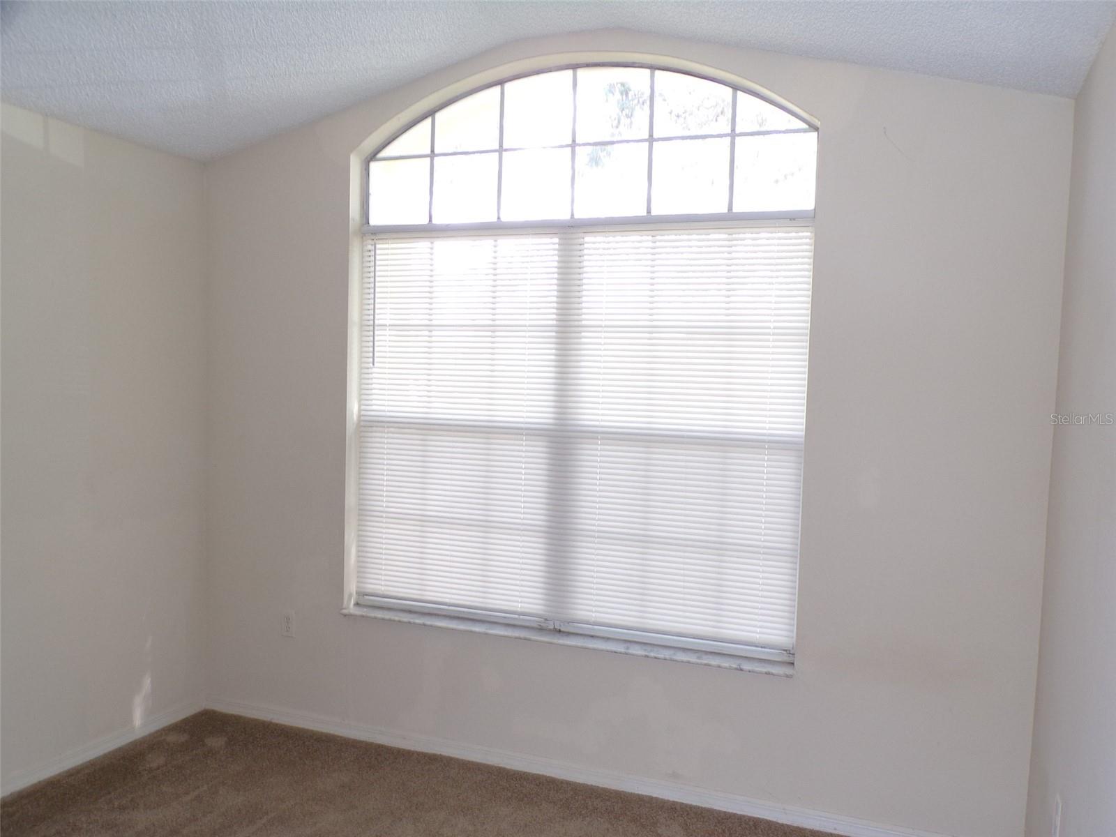 Image 12 of 22 For 2563 Davenport Circle