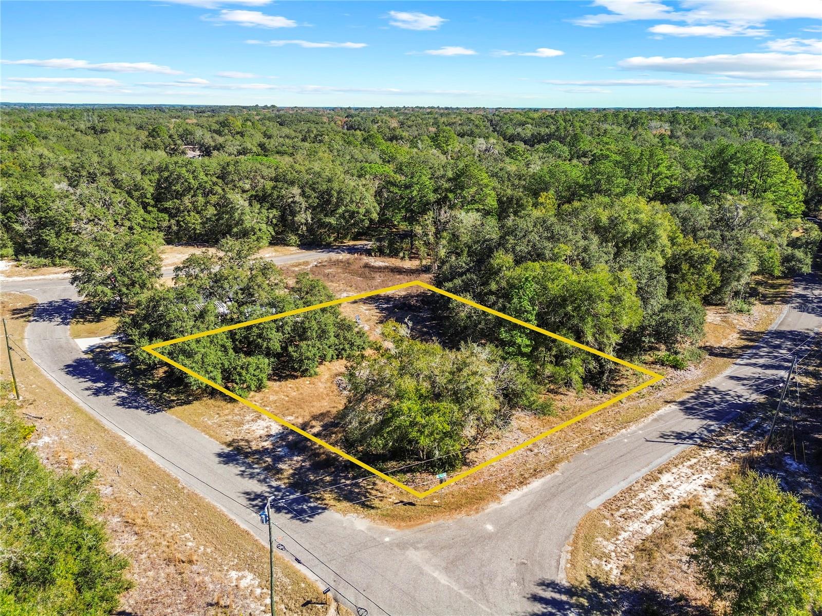 Details for 0 Guava Terrace Place & Bay Plac, OCKLAWAHA, FL 32179