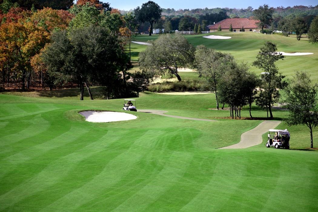 Image 49 of 53 For 23 Mickey Mantle Path