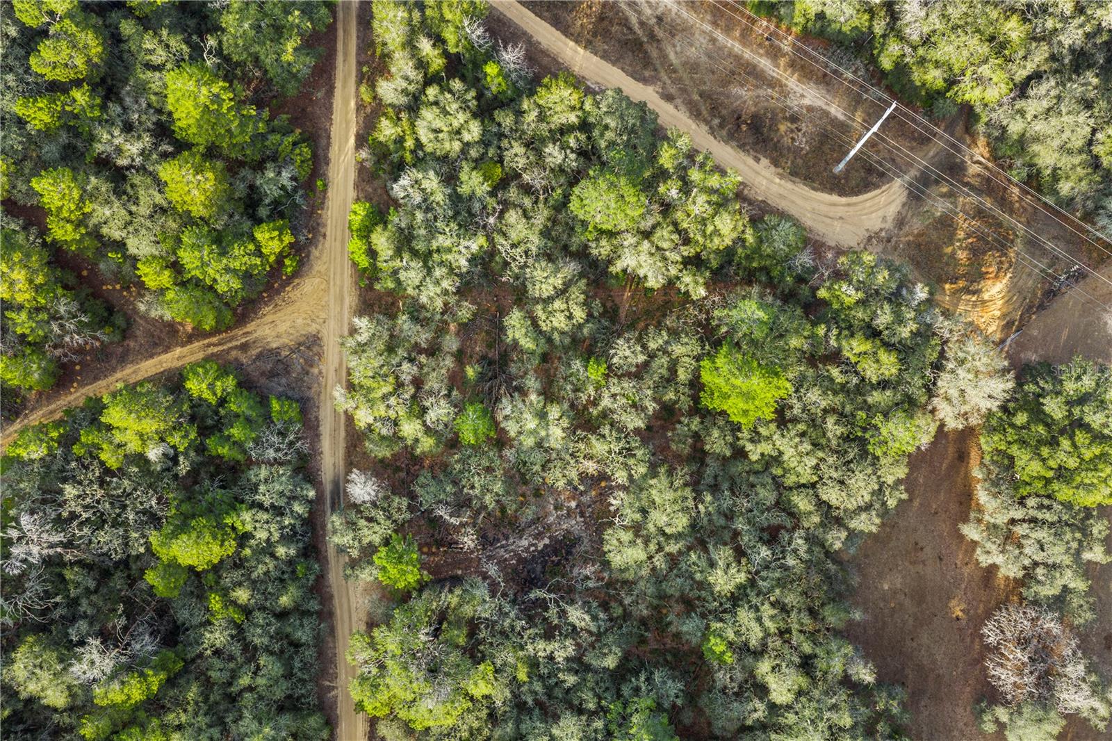 Image 10 of 36 For 115 Crestview Avenue