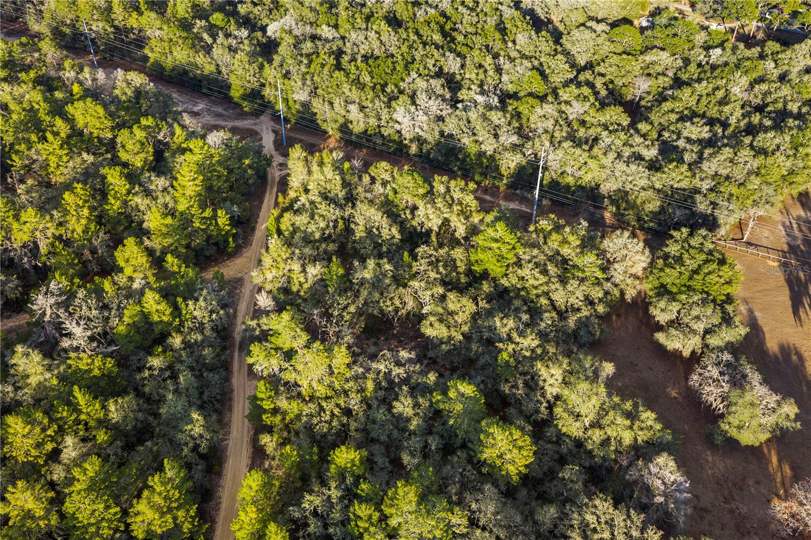 Image 22 of 36 For 115 Crestview Avenue