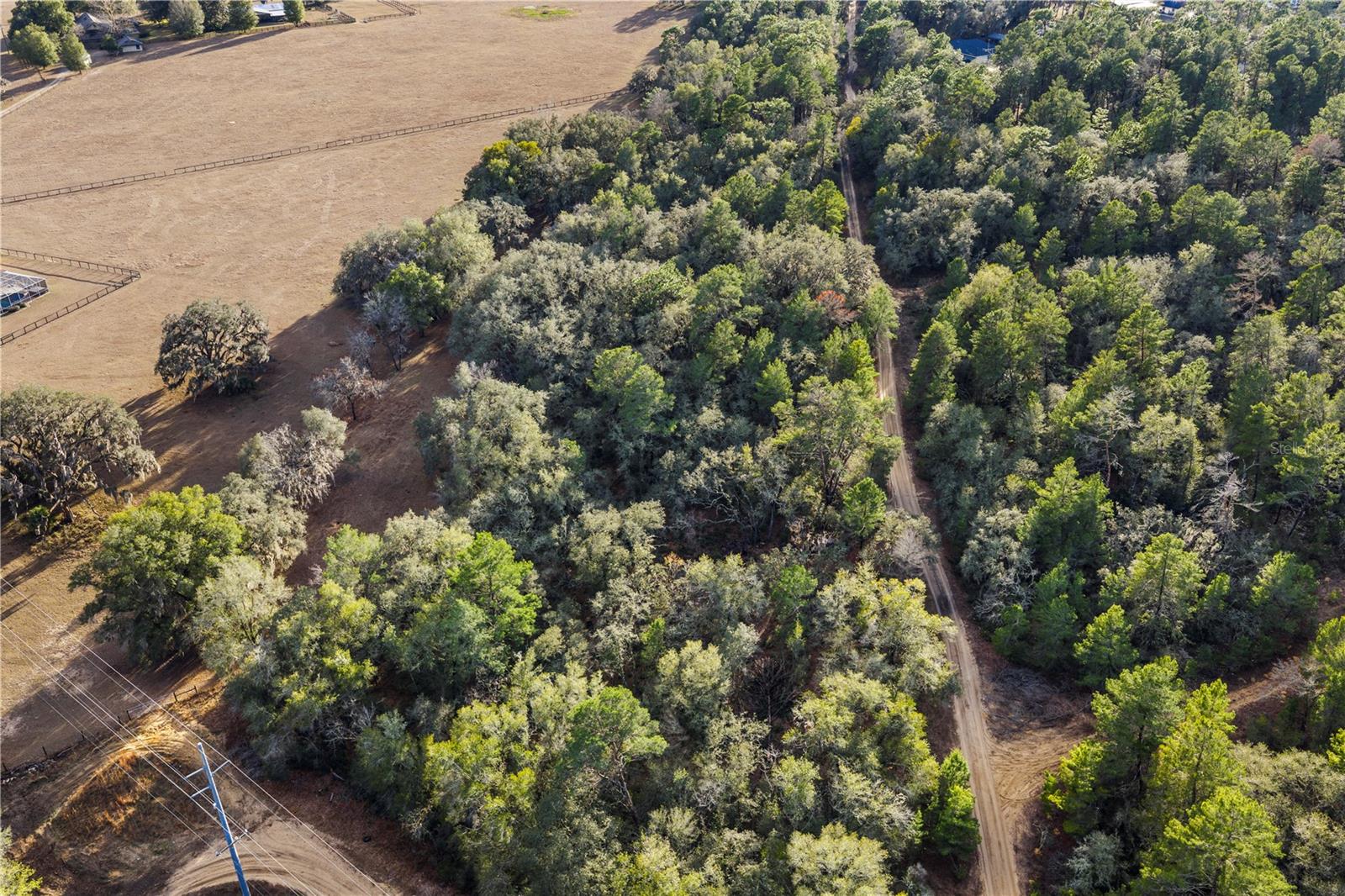 Image 31 of 36 For 115 Crestview Avenue