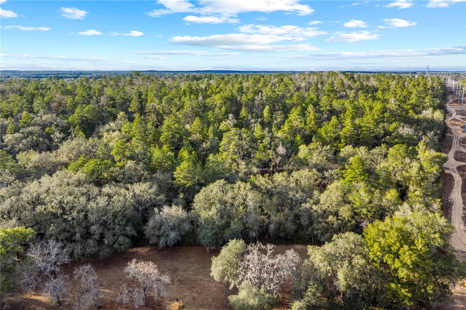 Image 32 of 36 For 115 Crestview Avenue