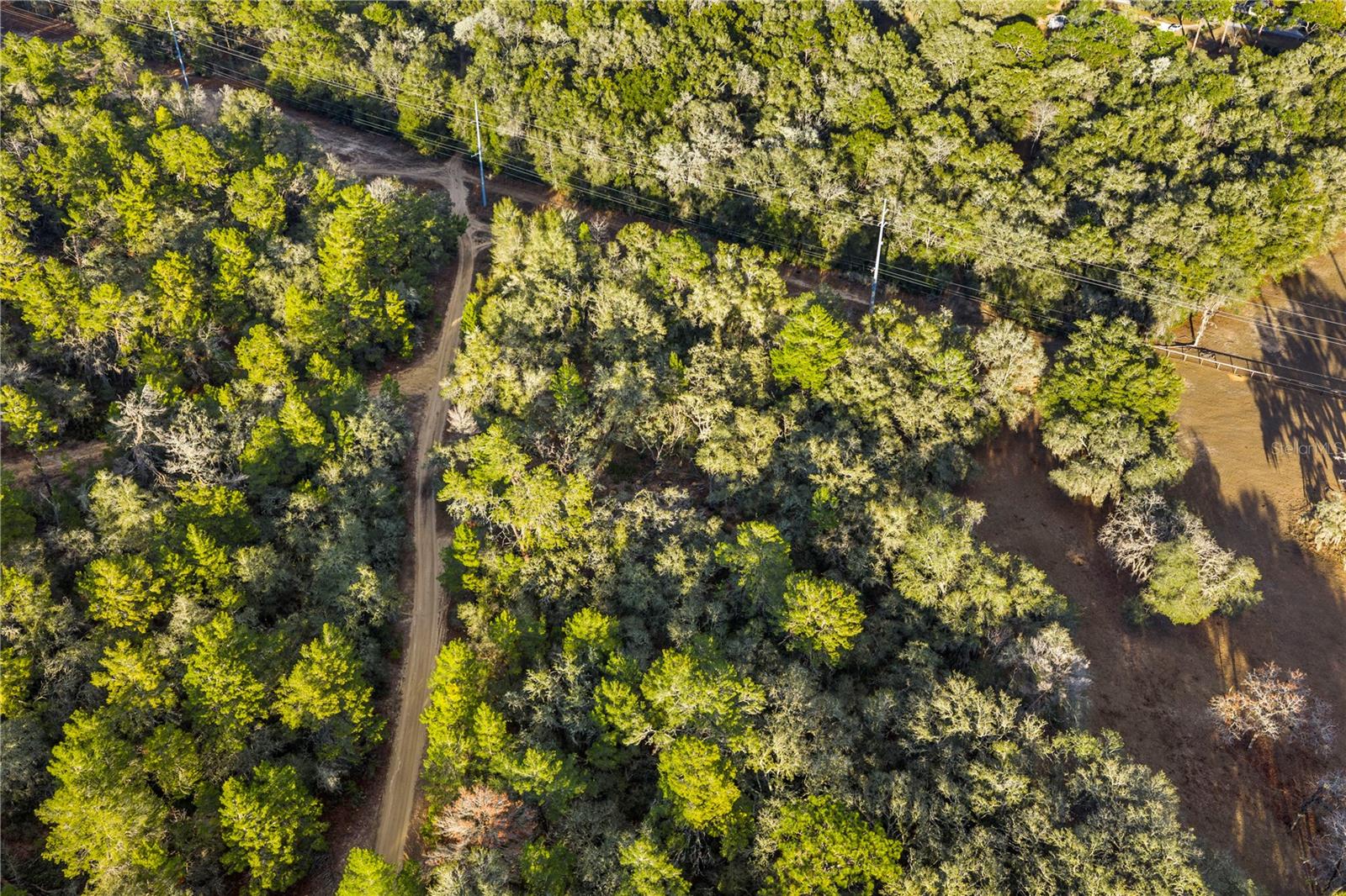 Image 35 of 36 For 115 Crestview Avenue