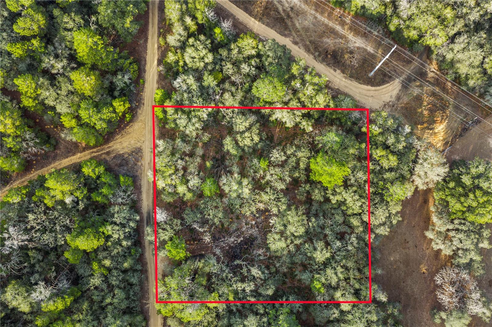 Image 9 of 36 For 115 Crestview Avenue