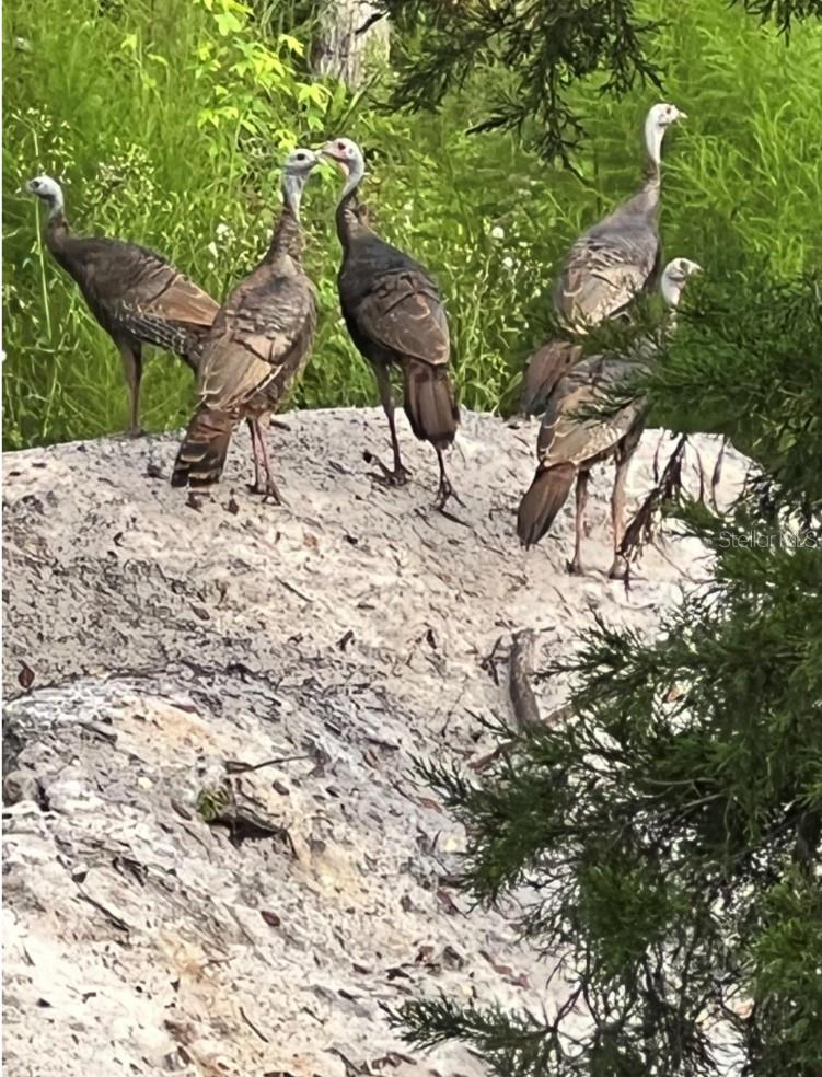 Image 12 of 20 For 00 Clayton Road