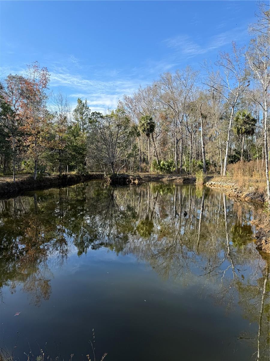 Image 13 of 20 For 00 Clayton Road